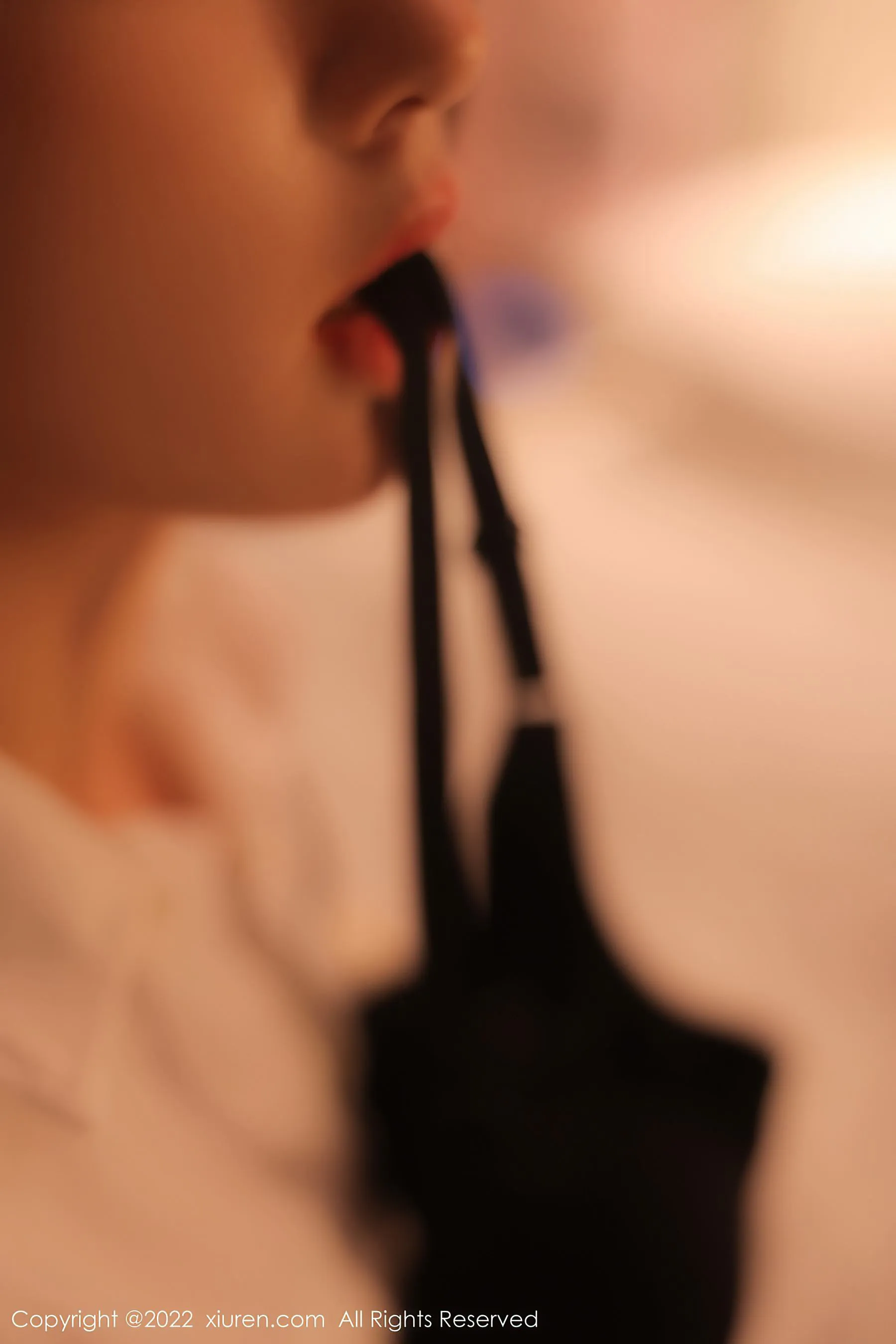 秀人网 No.5815 美羊羊第12张