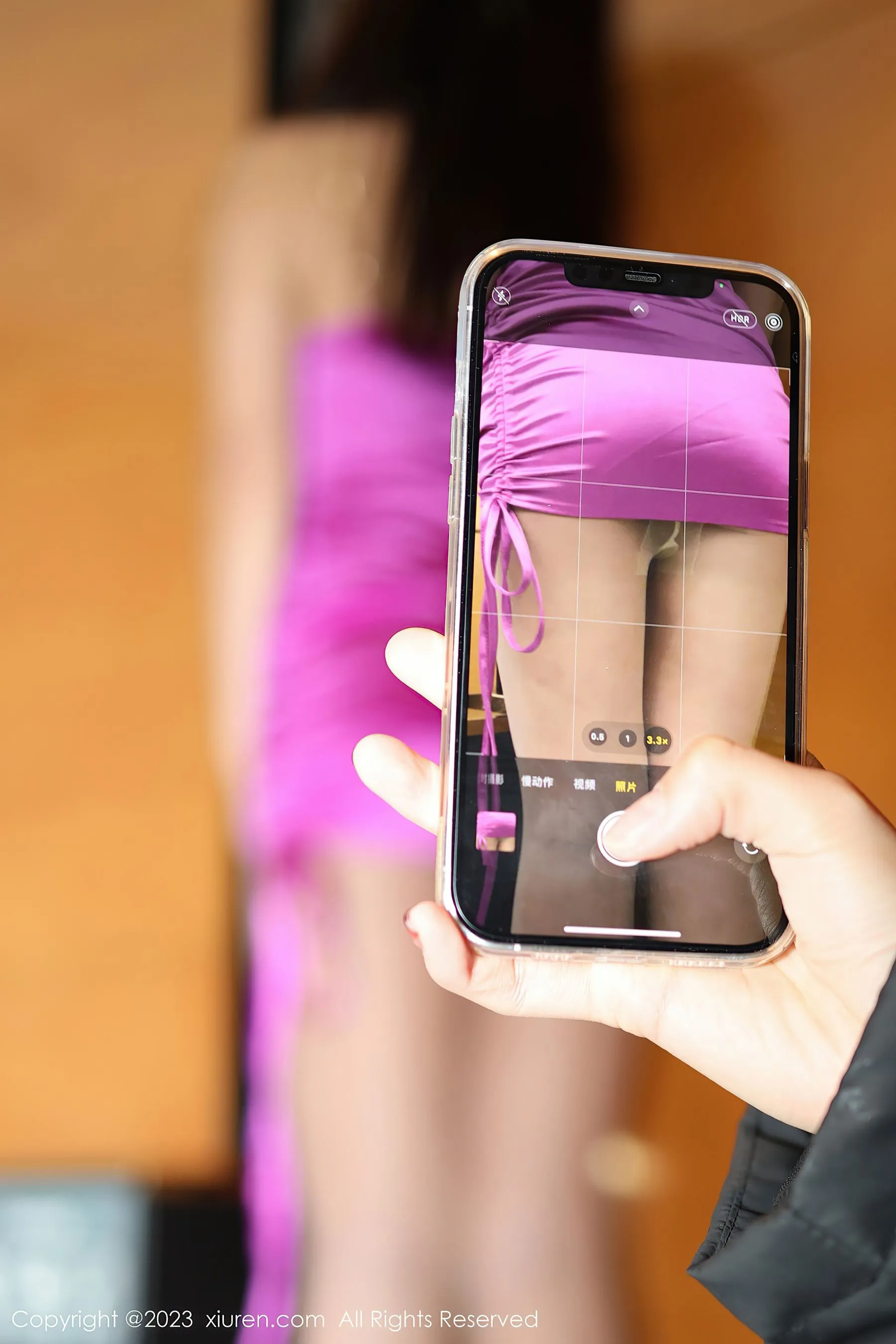  秀人网 No.6116 米娜MnaL第23张