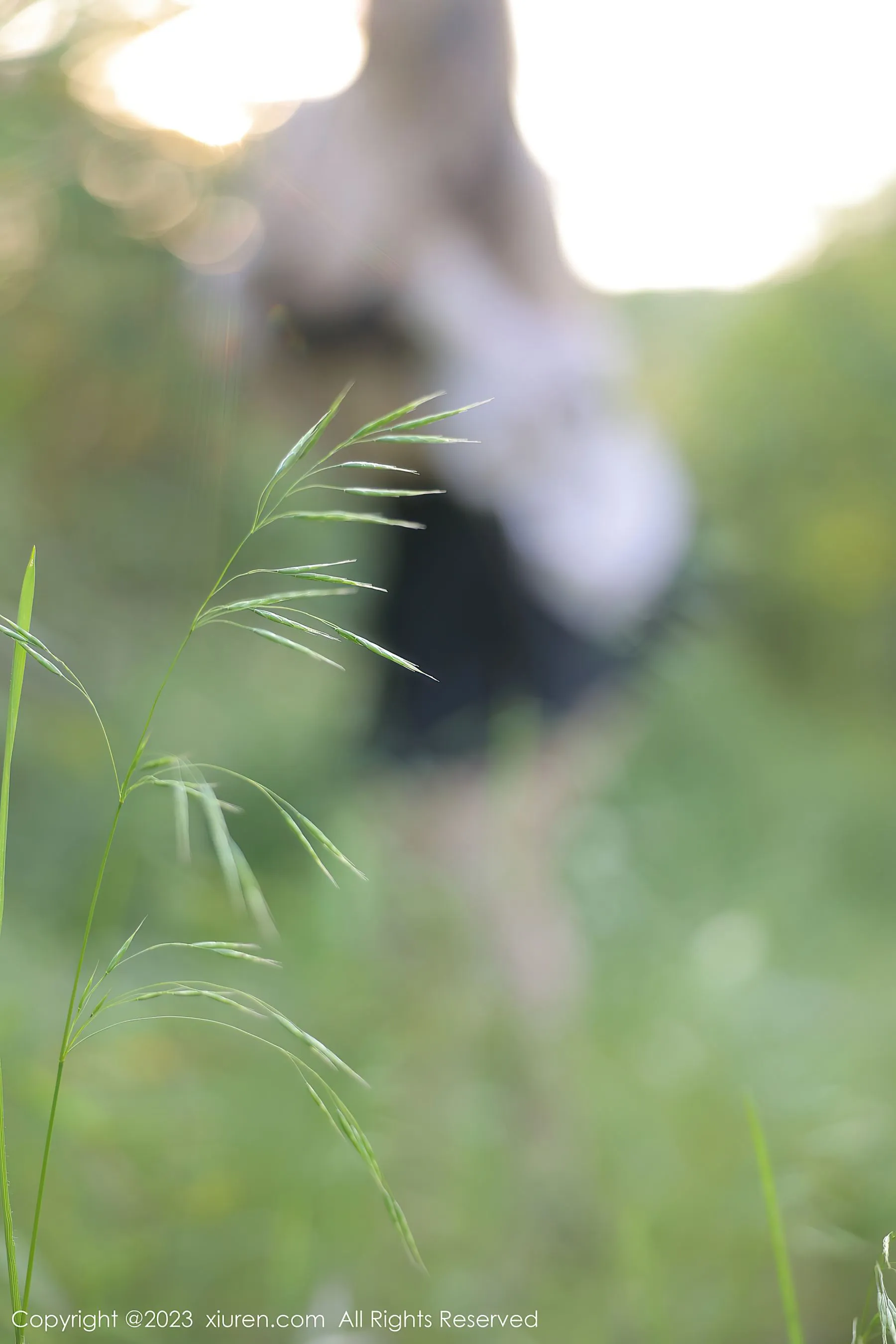 秀人网 No.6721 江真真插图6