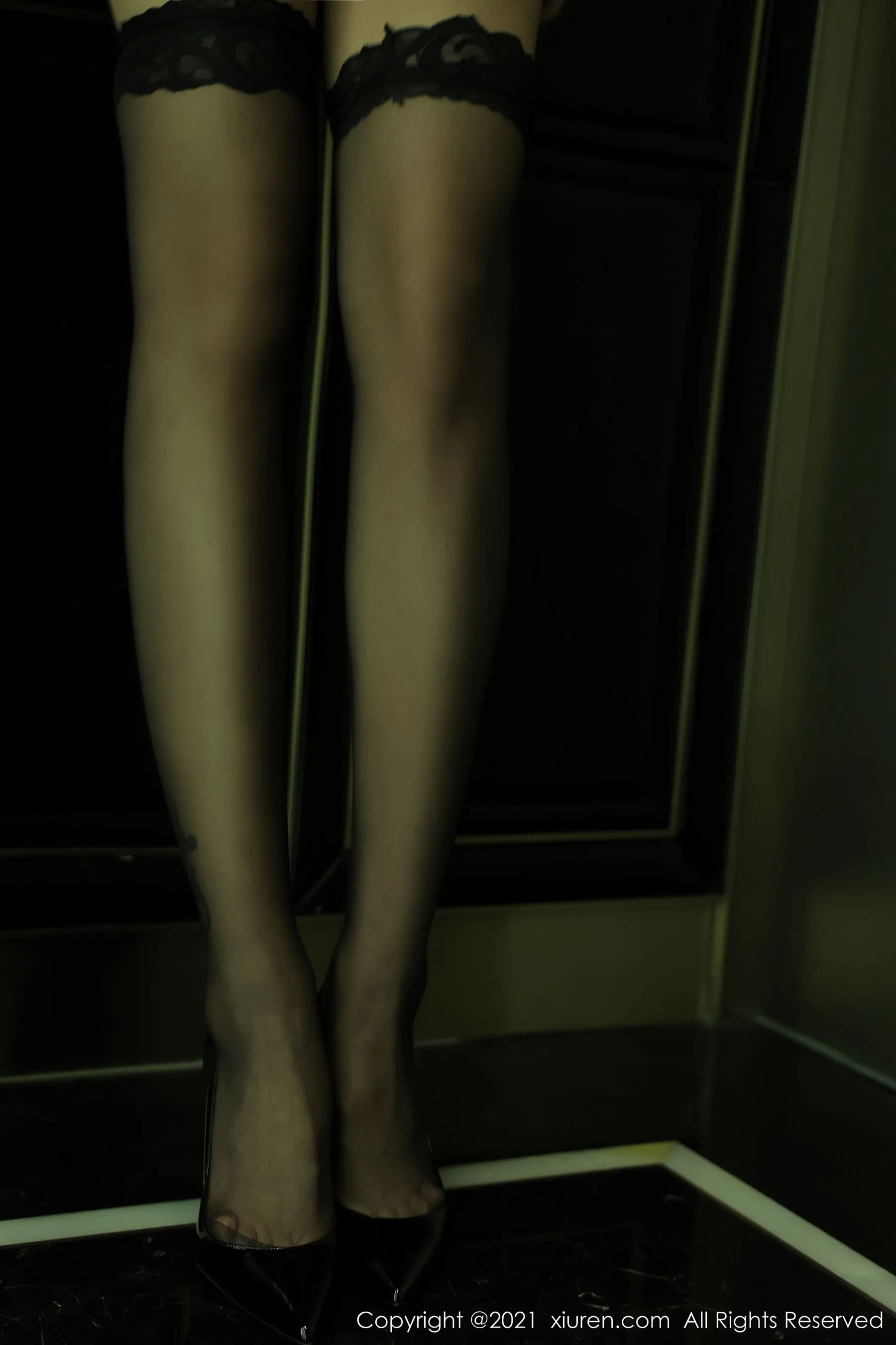 秀人 No.3999 蓝莓FY插图5