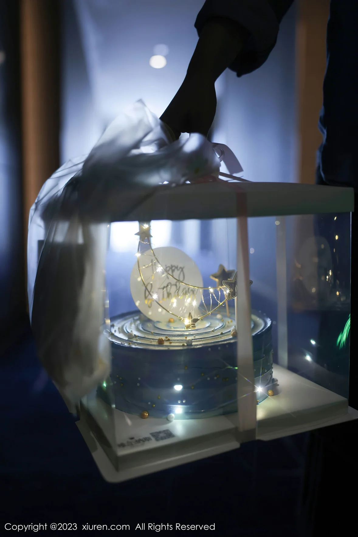 XiuRen 秀人 No.7348 幼幼 白色网纱性感写真 [81P]插图