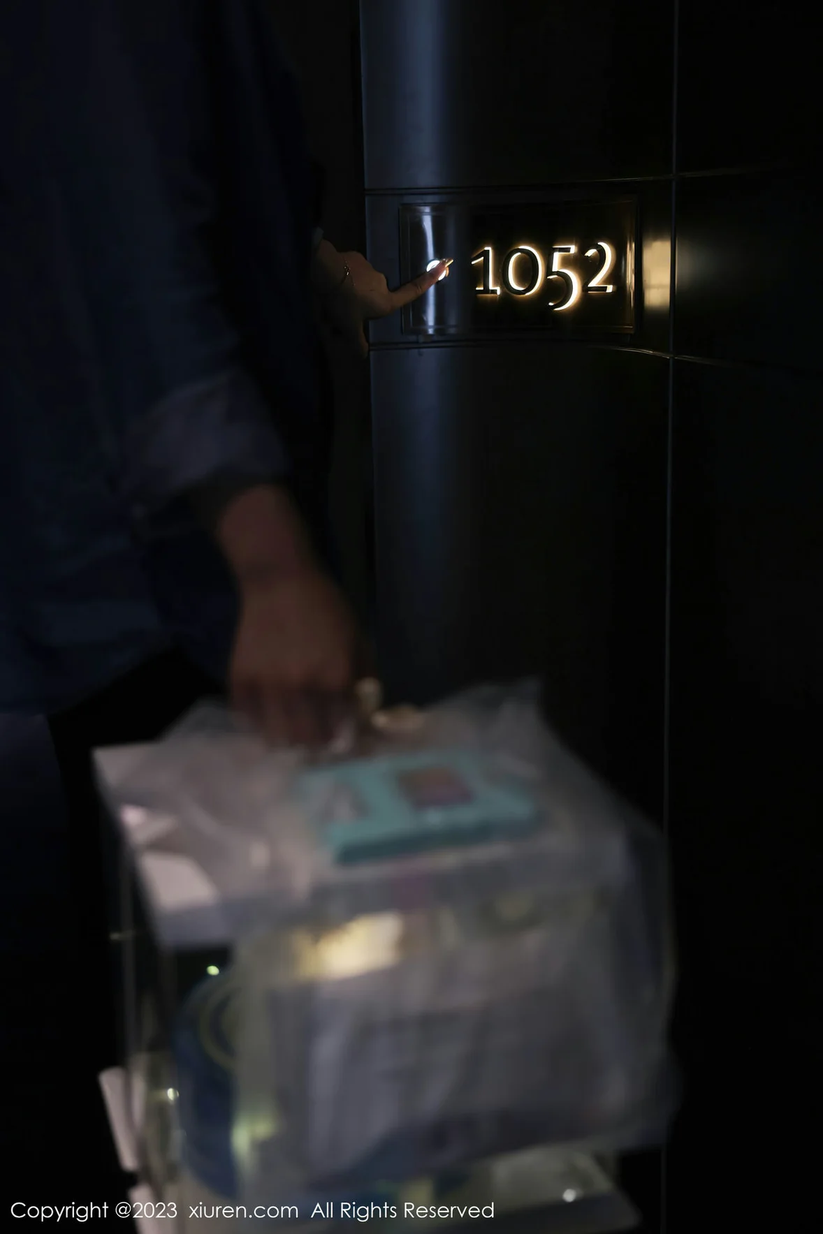 XiuRen 秀人 No.7348 幼幼 白色网纱性感写真 [81P]插图1