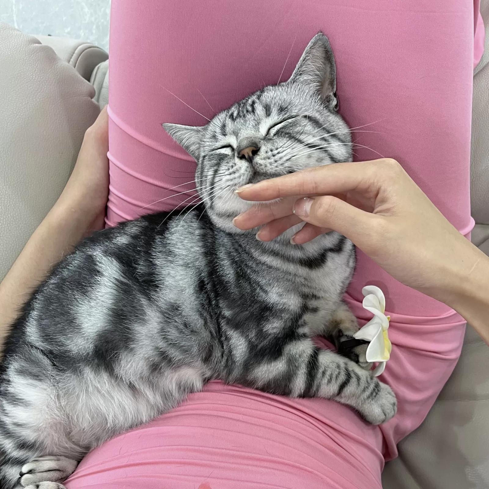 就是阿朱啊 – 逛超市+撸猫 [21P]插图8