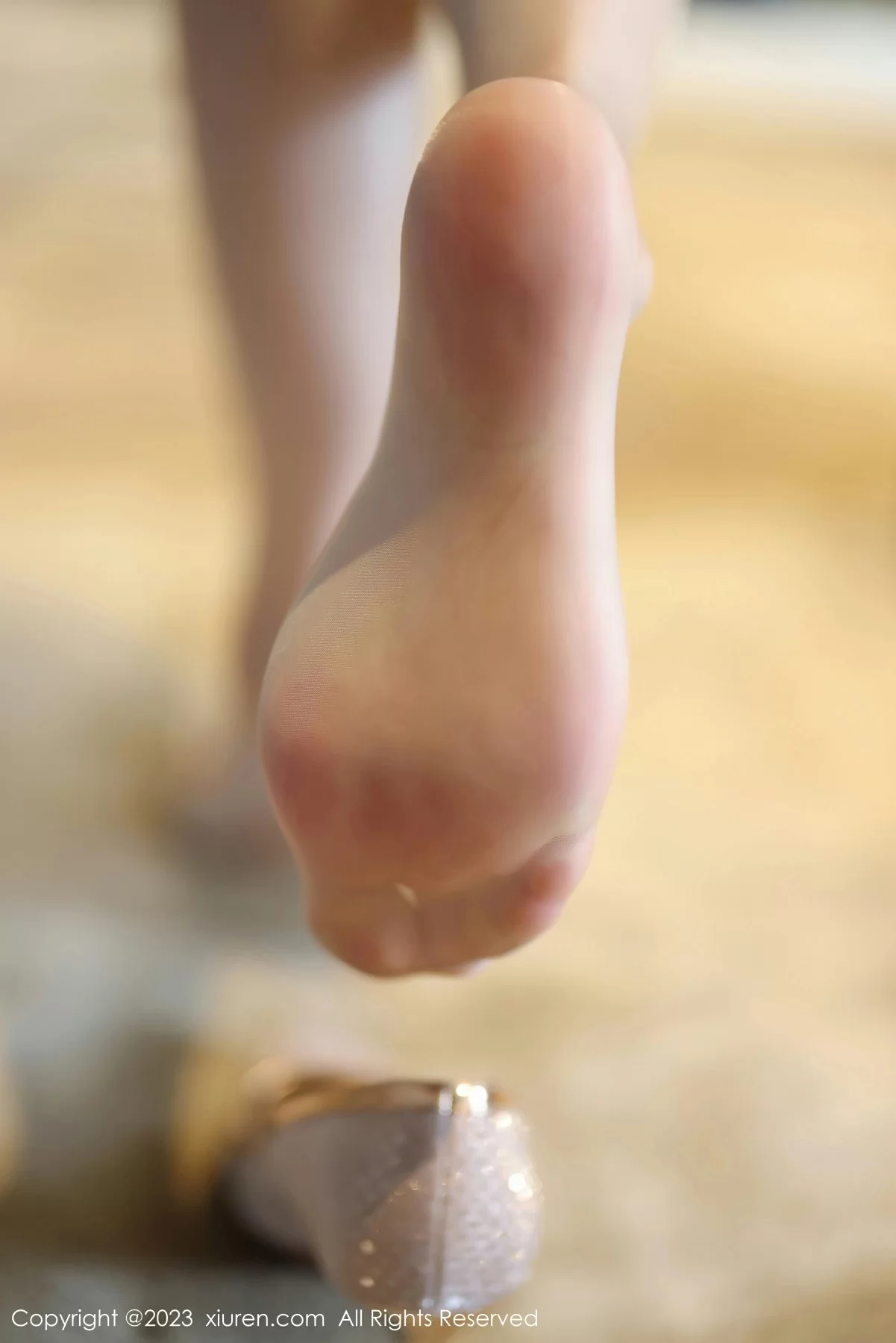  Xiuren 秀人 No.7709 梦心玥 [88P]第5张