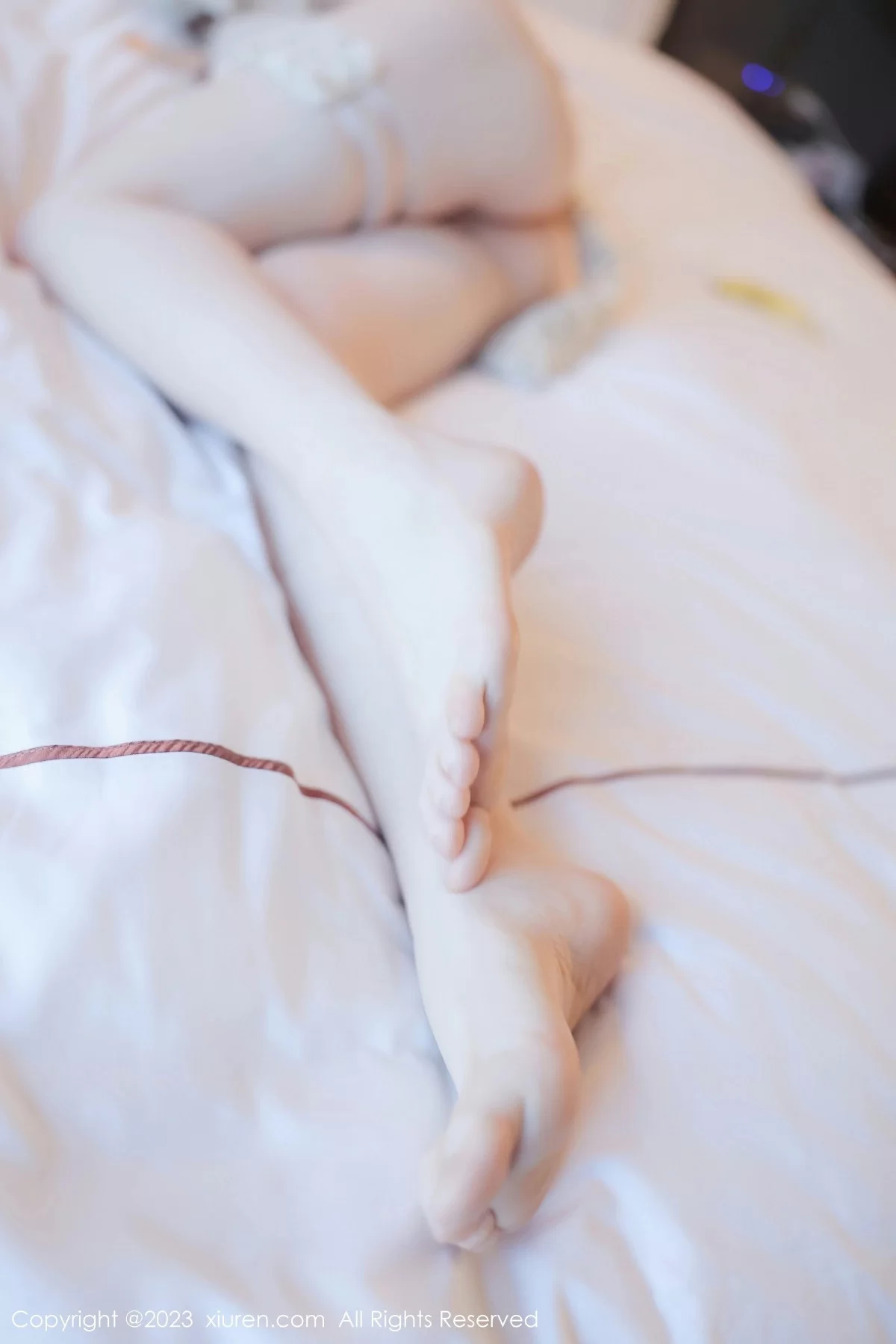  Xiuren 秀人 No.7803 林悠悠 [85P]第28张