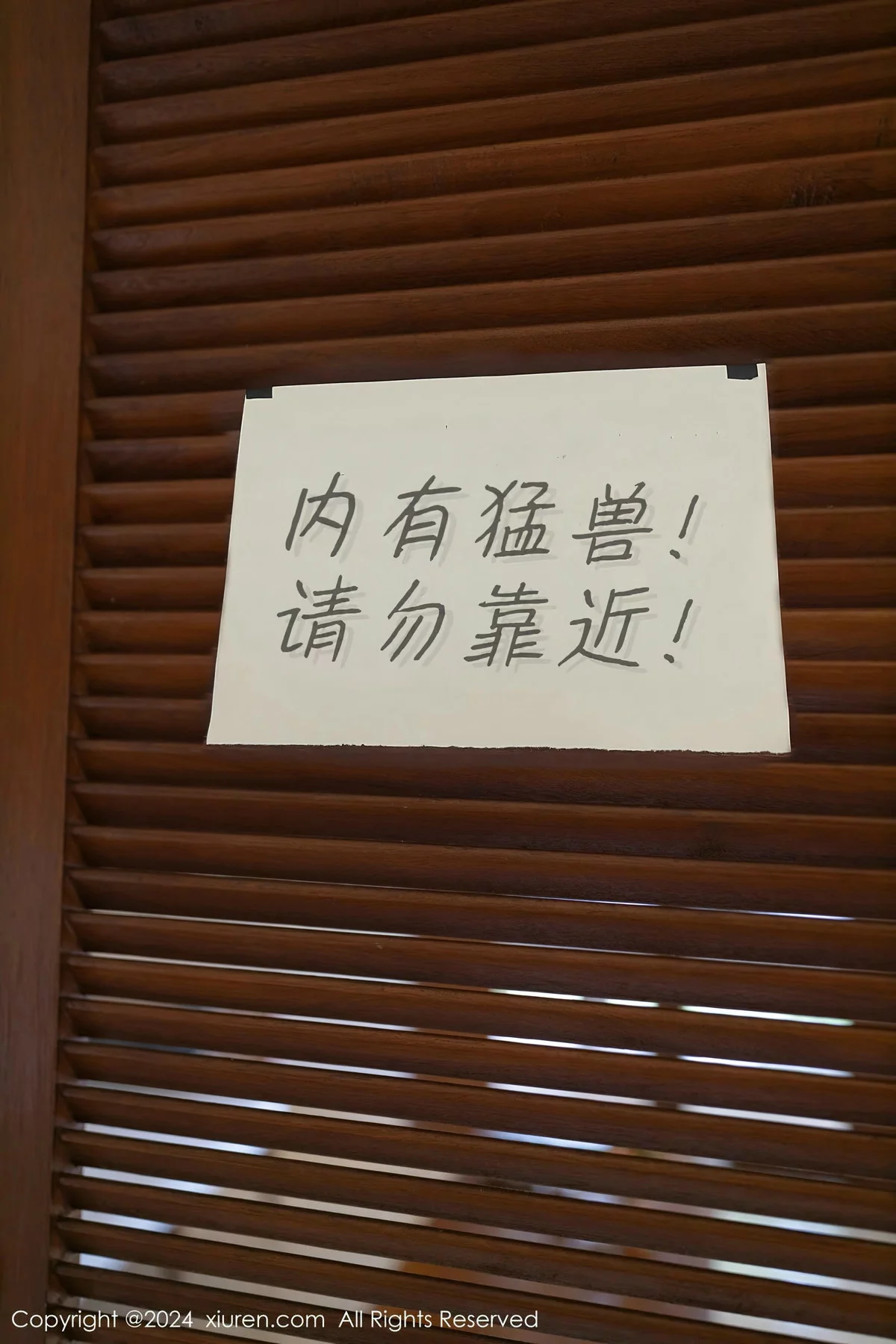 XiuRen 秀人 No.8029 幼幼 [80P]插图1