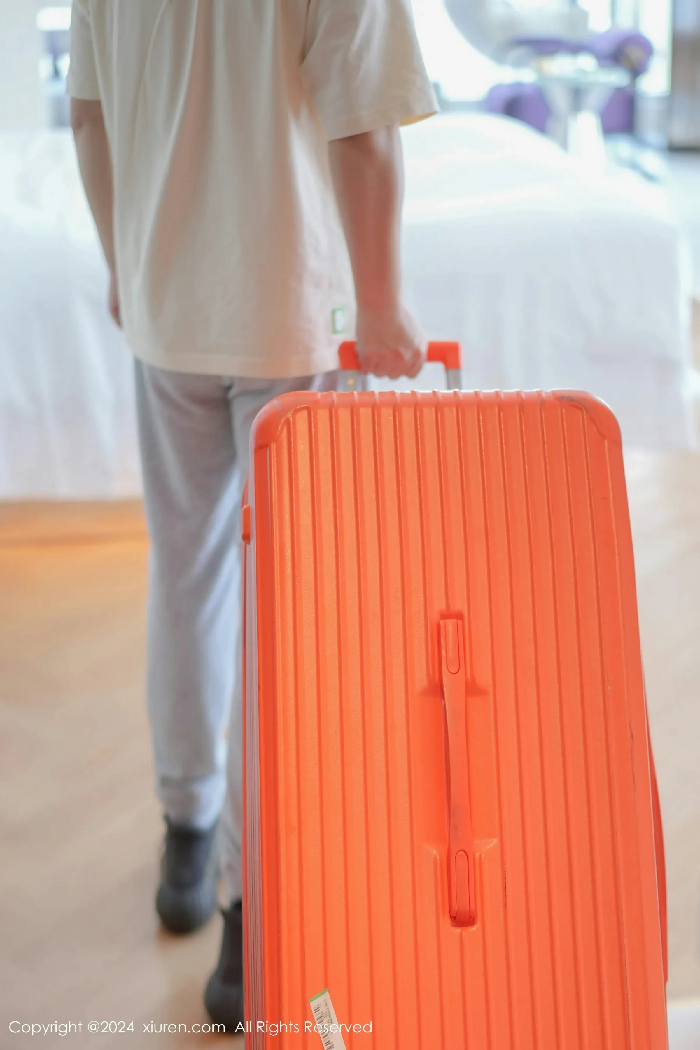 XiuRen 秀人 No.8507 鱼尾fish [90P]插图1