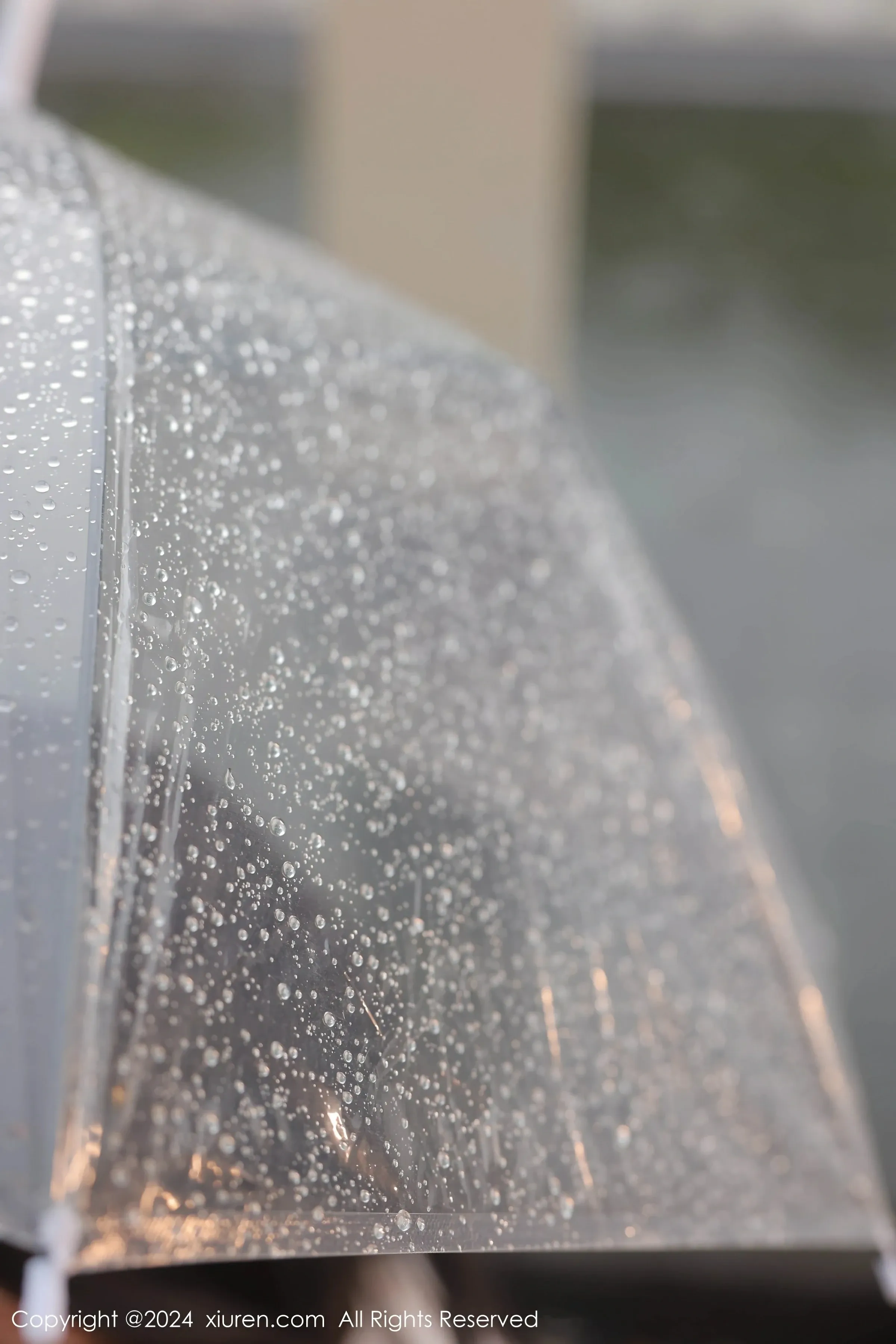 XiuRen 秀人 No.8885 桃妖夭 [92P]插图1