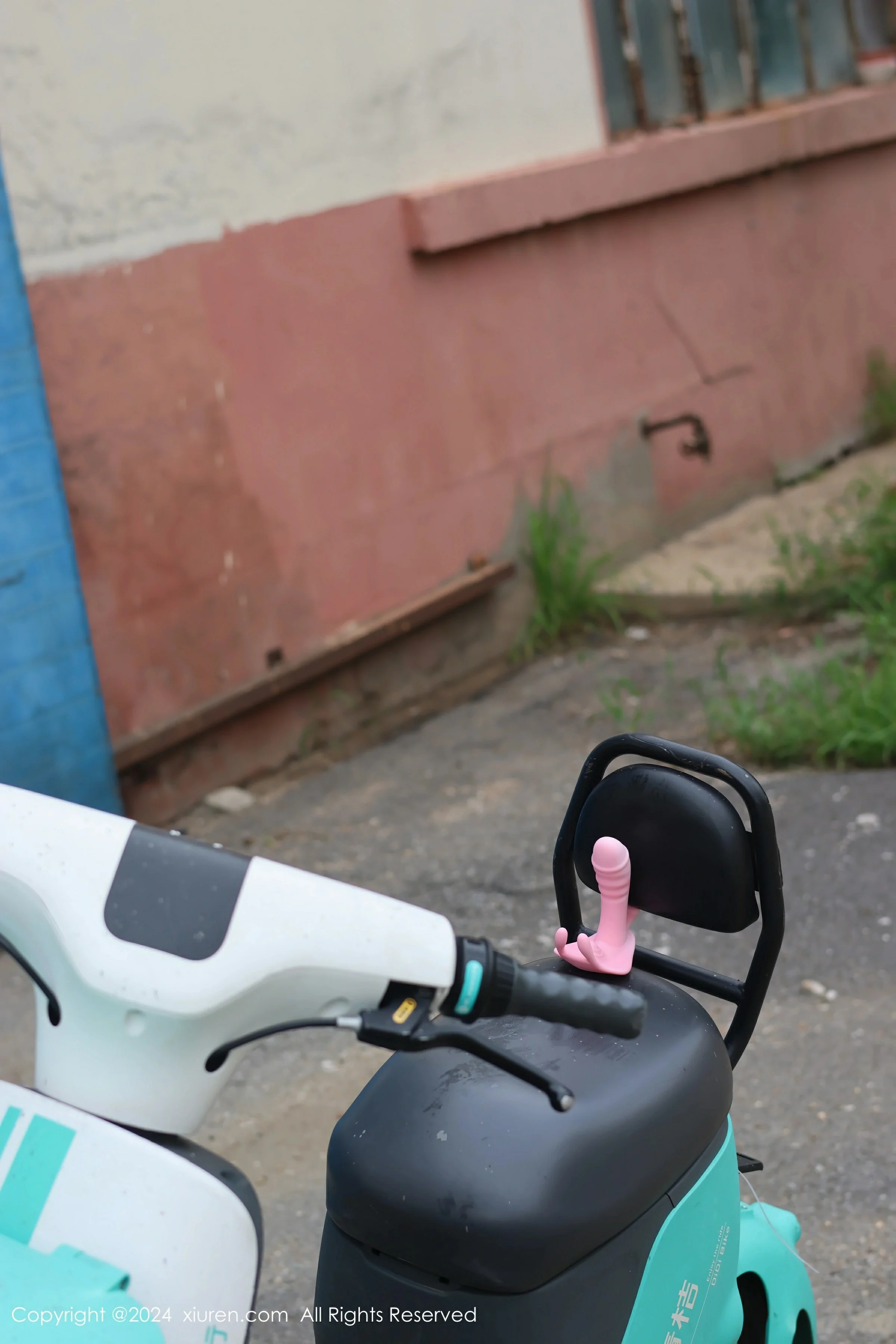 XiuRen 秀人 No.9024 小薯条nienie [89P]插图