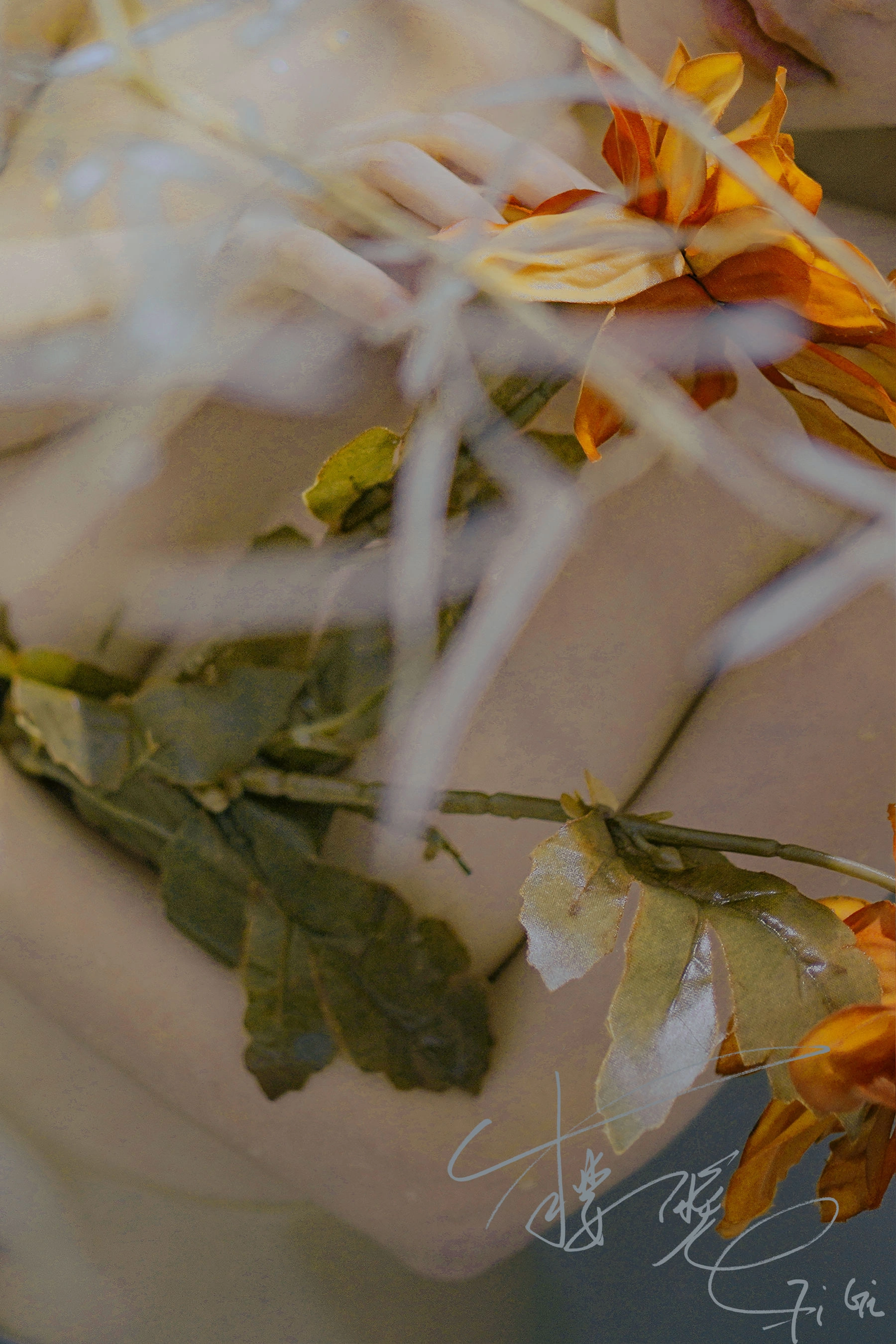 ♈ 网络红人樱晚gigi – 清衣.池【丽人丝语】