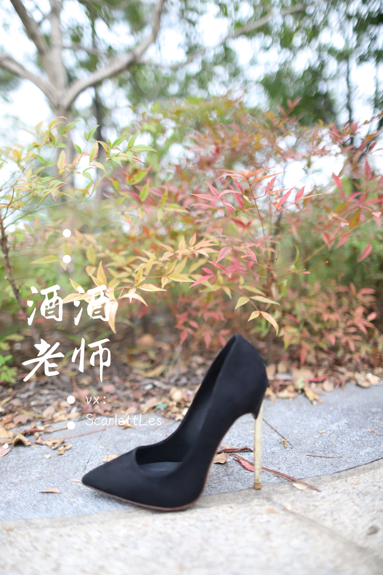 酒酒老师 – 上课前误穿黒丝插图3