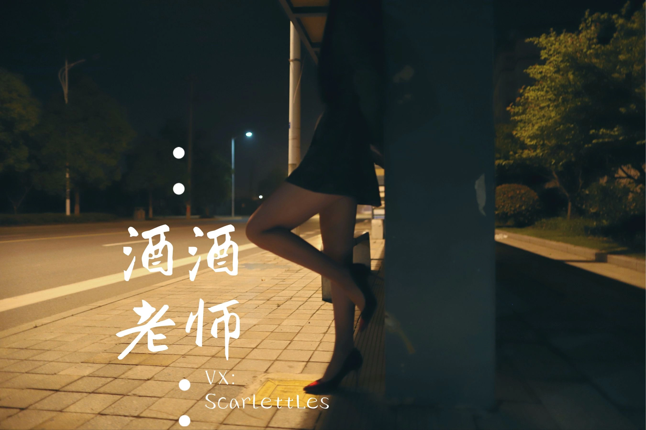 酒酒老师 – 司机先生，喜欢紫色丝吗？插图31