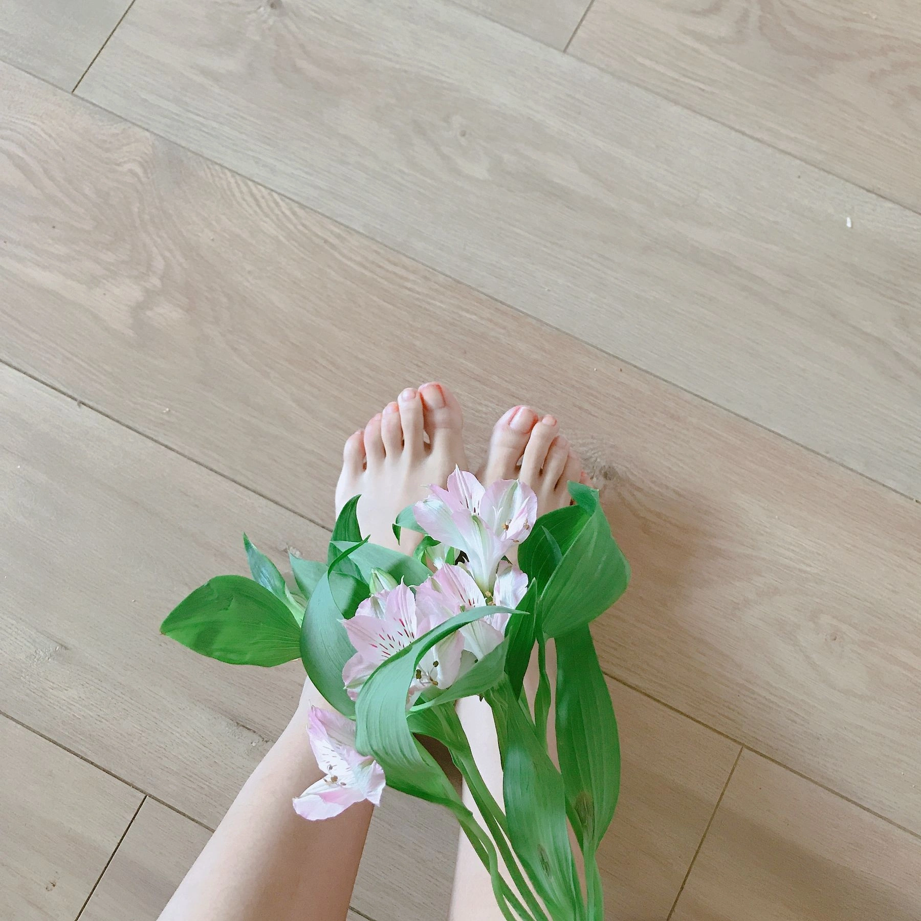 安乔乔儿(Nia乔乔) No.006 学姐来了插图1