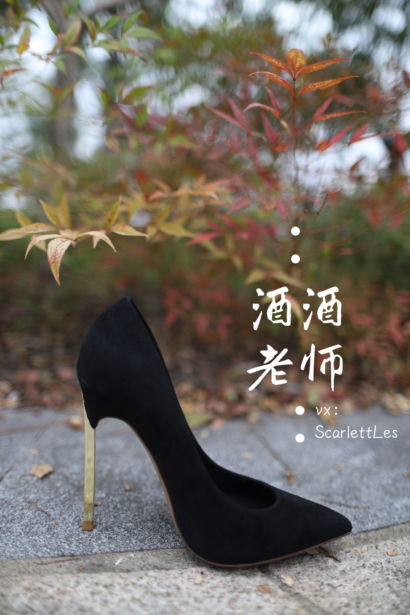 酒酒老师 – 上课前误穿黒丝|图集秀