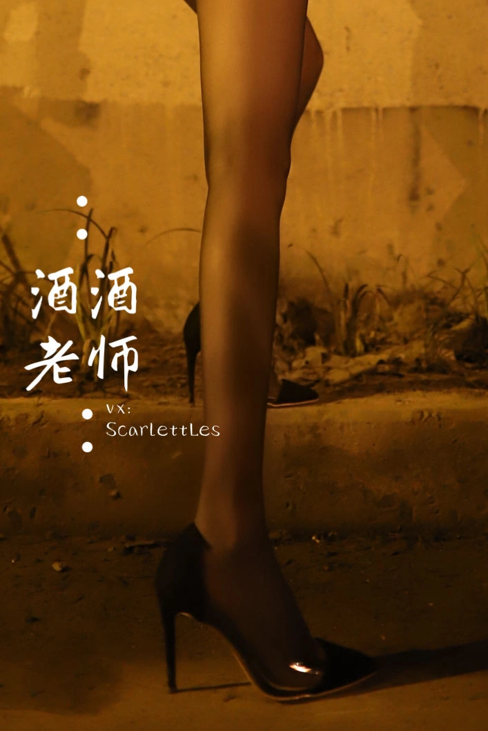 酒酒老师 – 桥下的户外丝袜课堂插图81