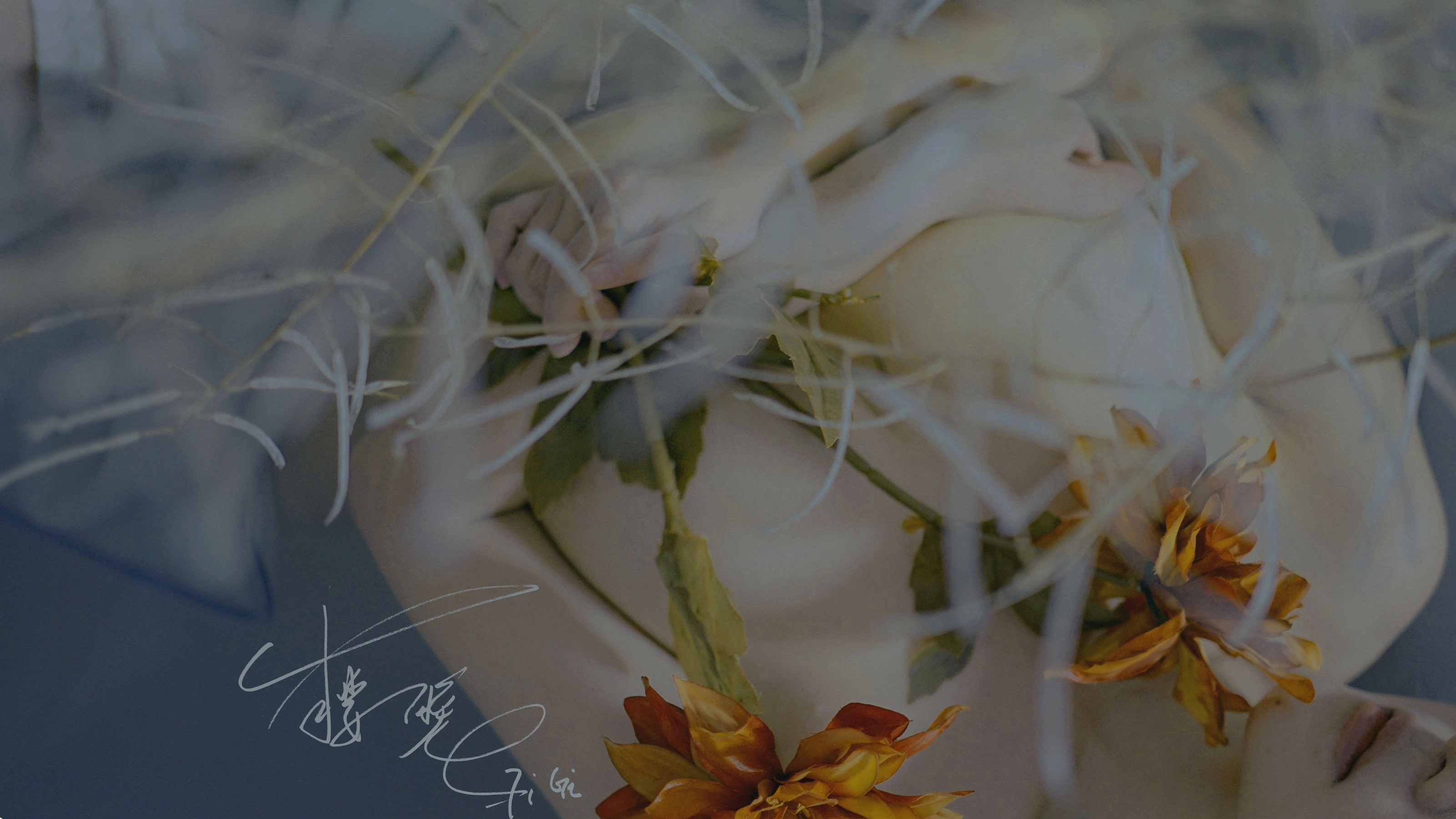 网络红人樱晚gigi – 清衣.池插图1