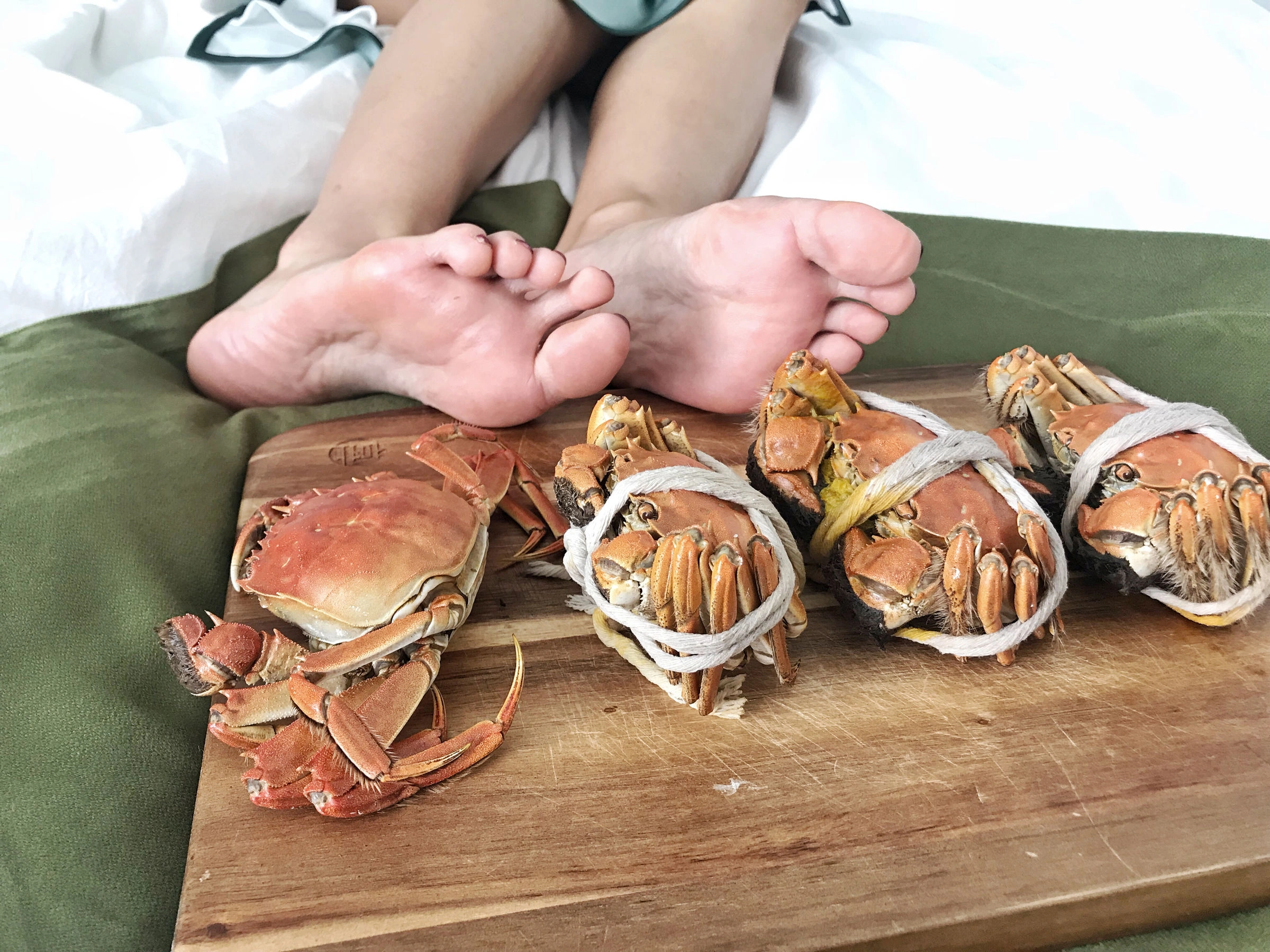 安乔乔儿(Nia乔乔) No.017 安乔乔儿 黑丝旗袍插图20