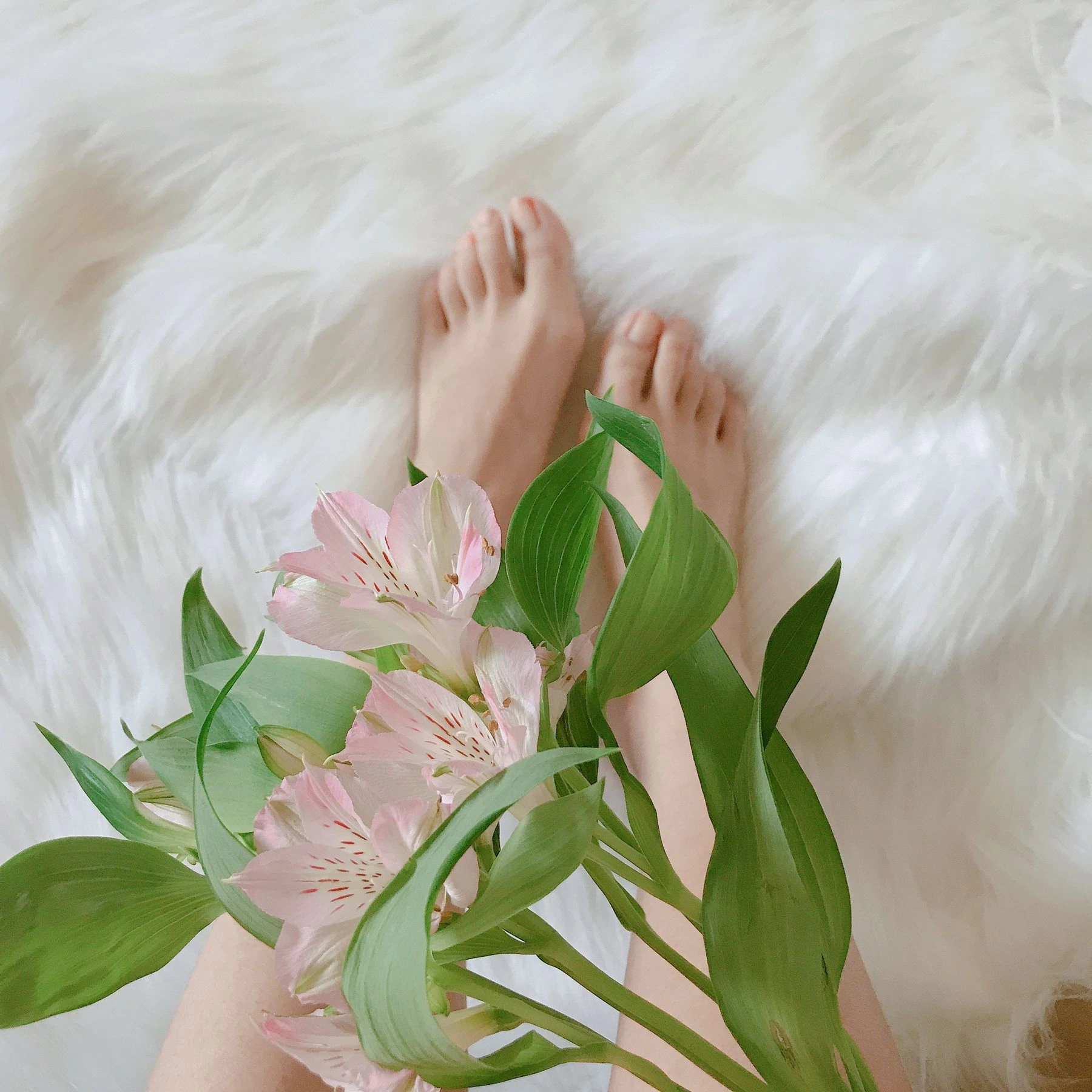 安乔乔儿(Nia乔乔) No.006 学姐来了插图2