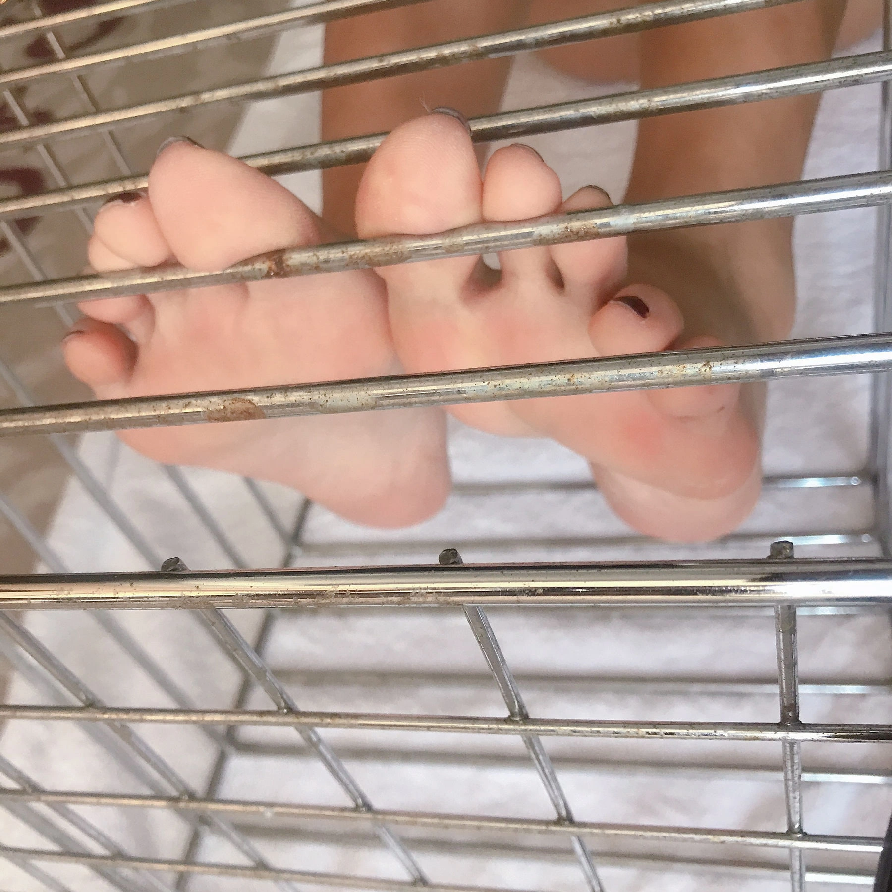 安乔乔儿(Nia乔乔) No.022 自玩自乐插图70