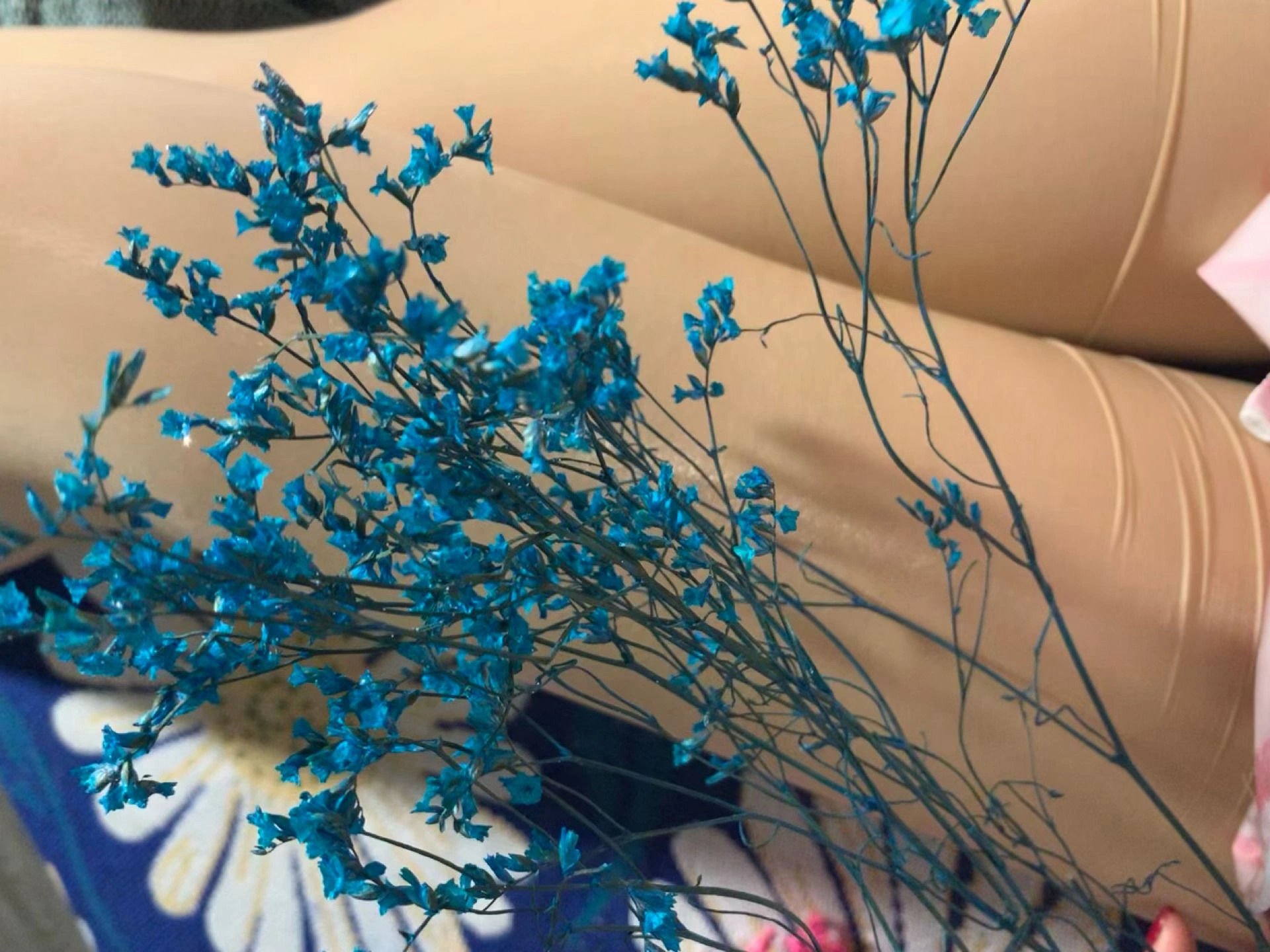 纯良女孩 微密圈合集插图105