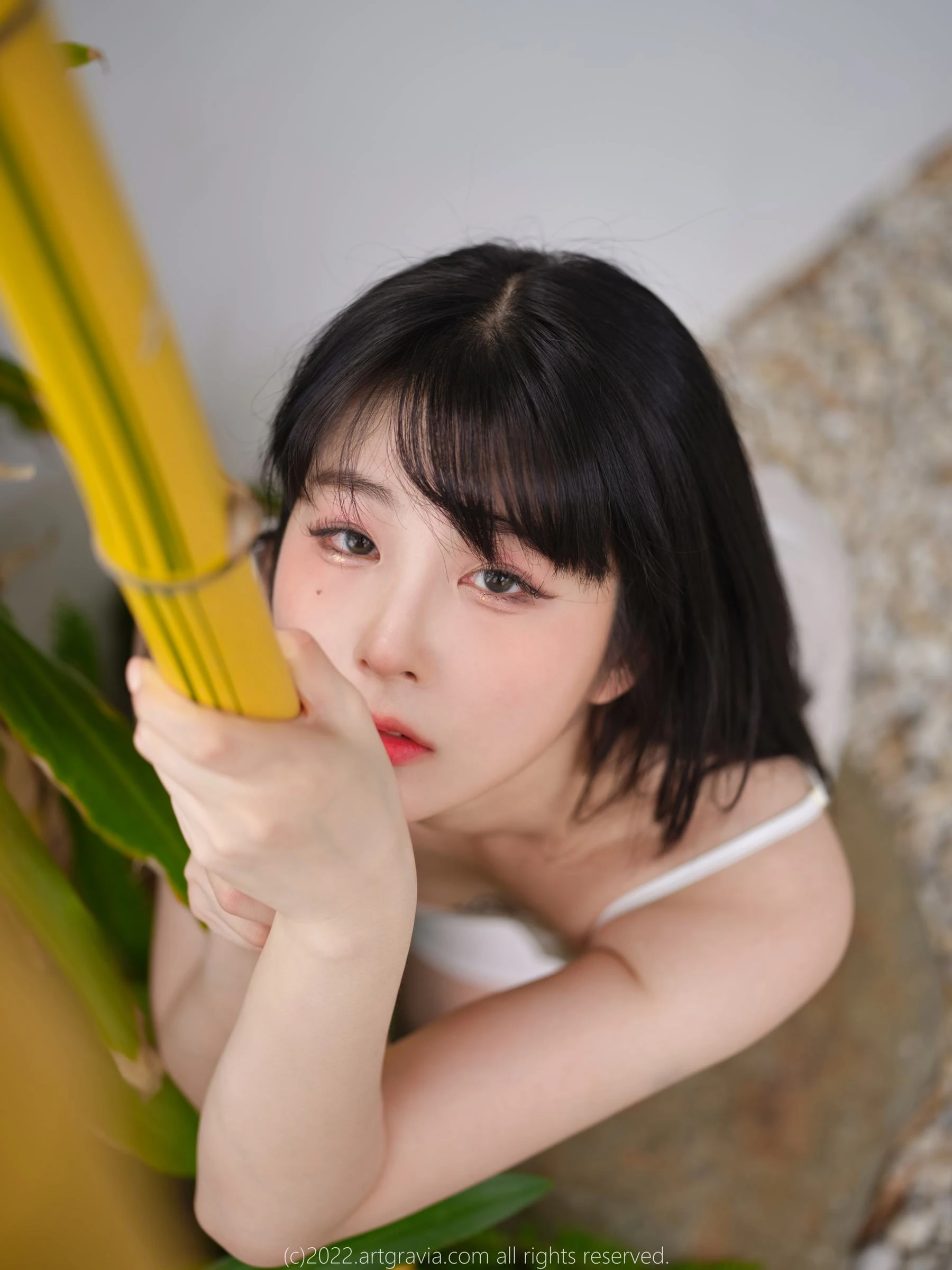 [ARTGRAVIA] VOL.454 JangJoo插图6