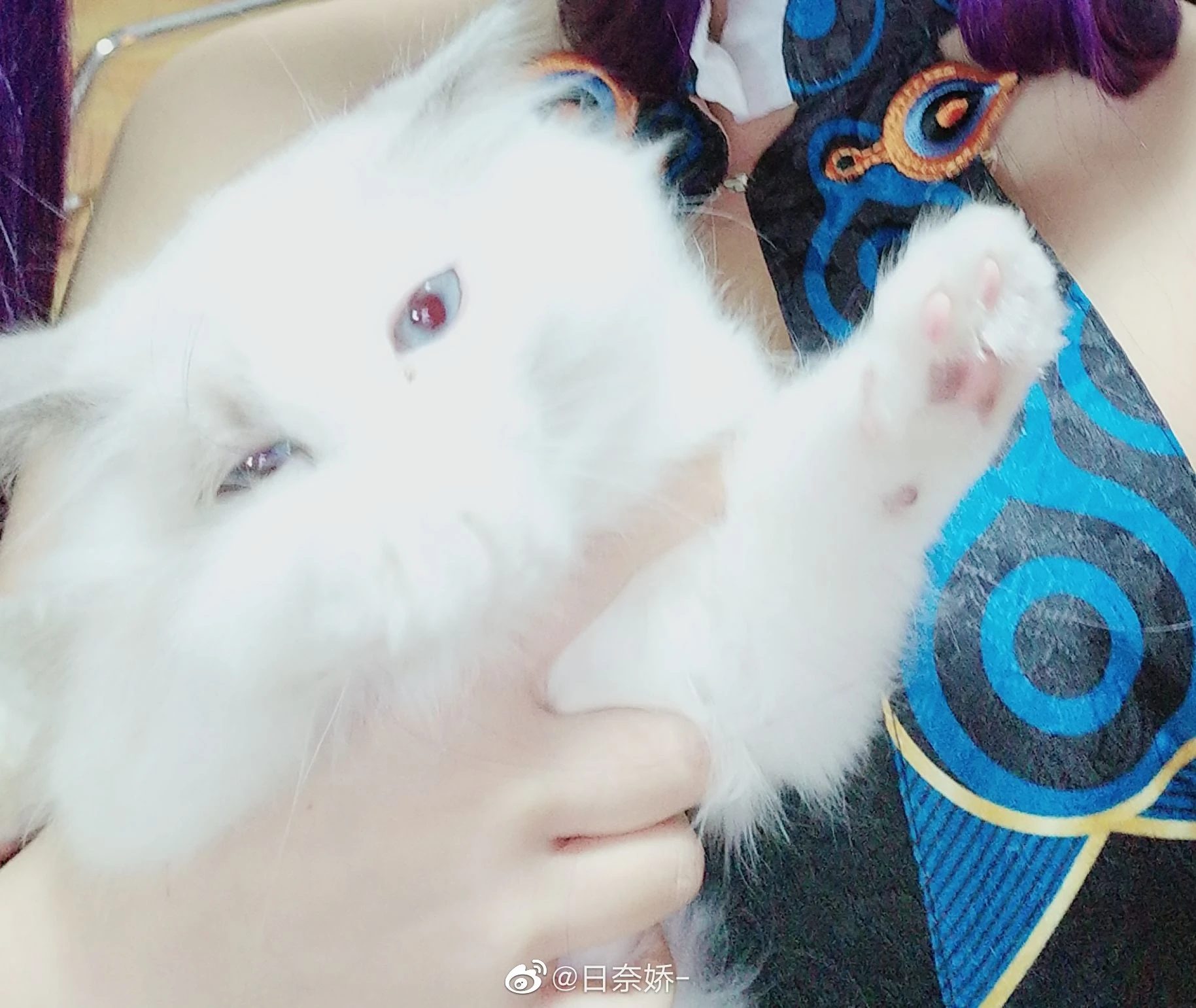 日奈娇 – 杨贵妃 [17P]插图3