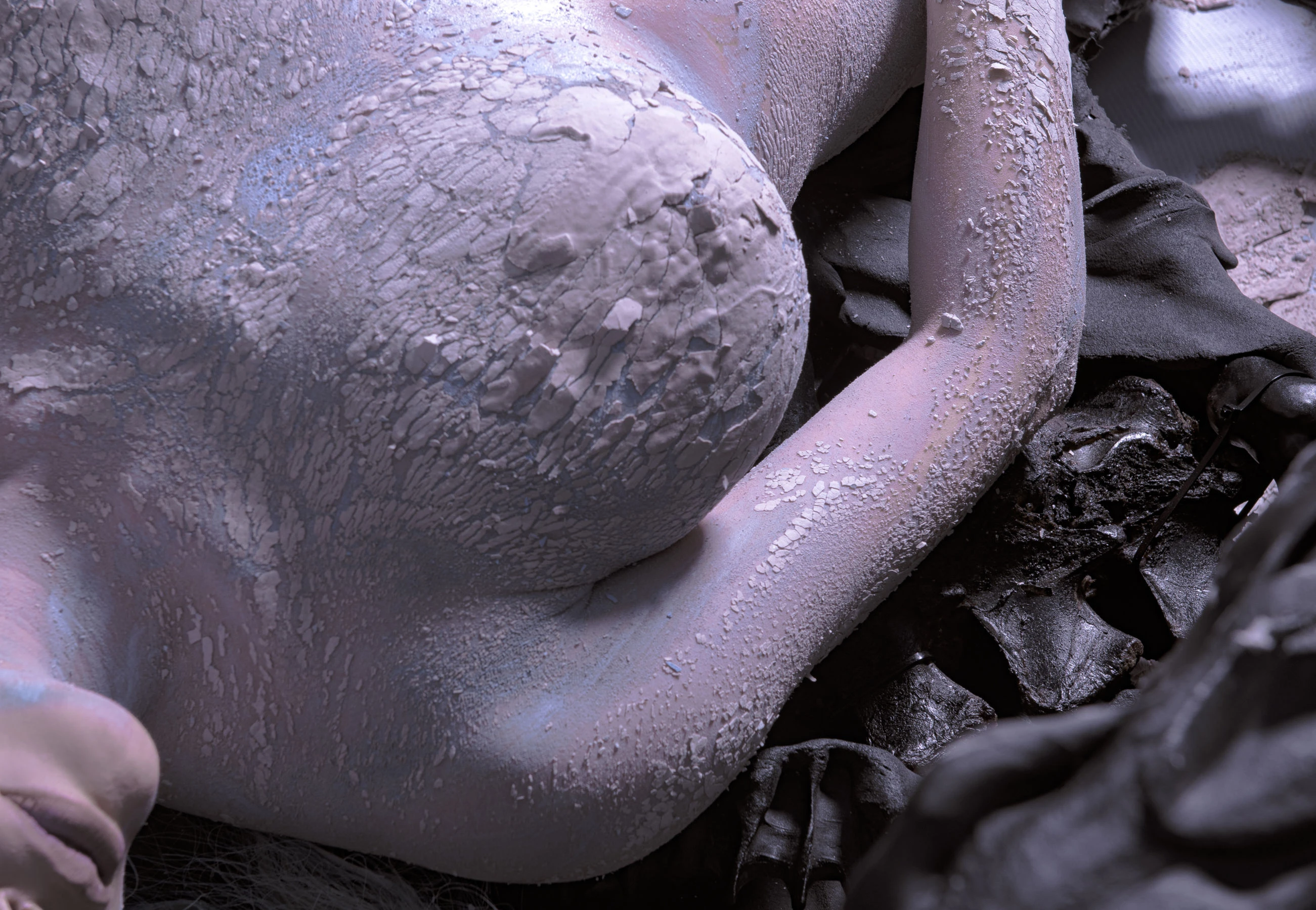 秋和柯基(夏小秋秋秋) – 复生 [72P]插图5