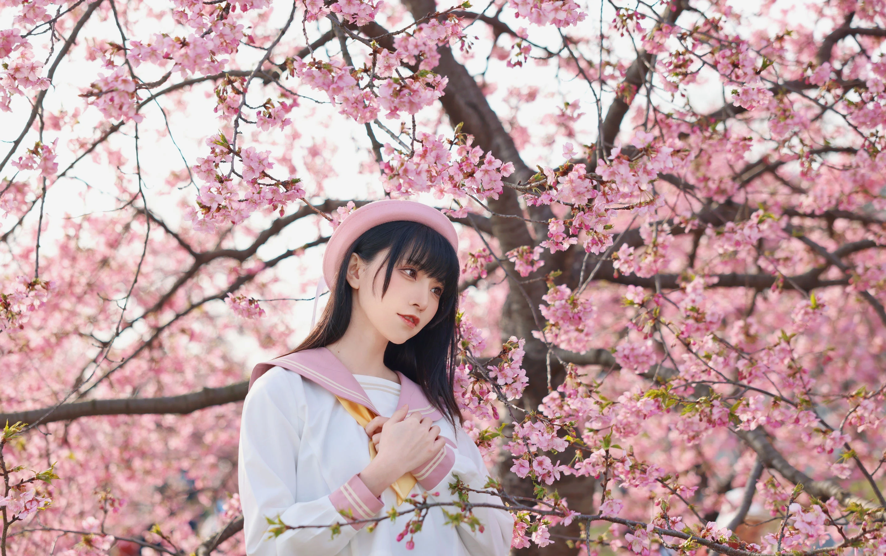 动漫博主Kitaro_绮太郎 – 樱花 [18P]插图4