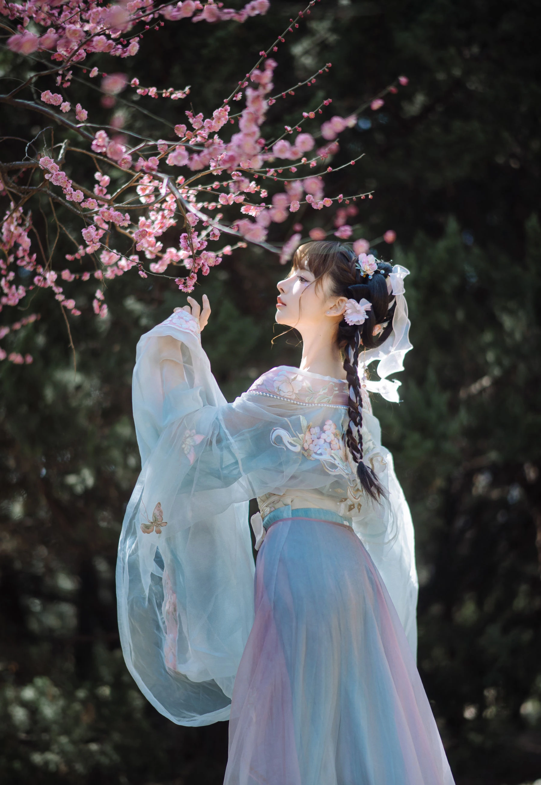 紫氯氯 – 二月梅花 [17P]插图