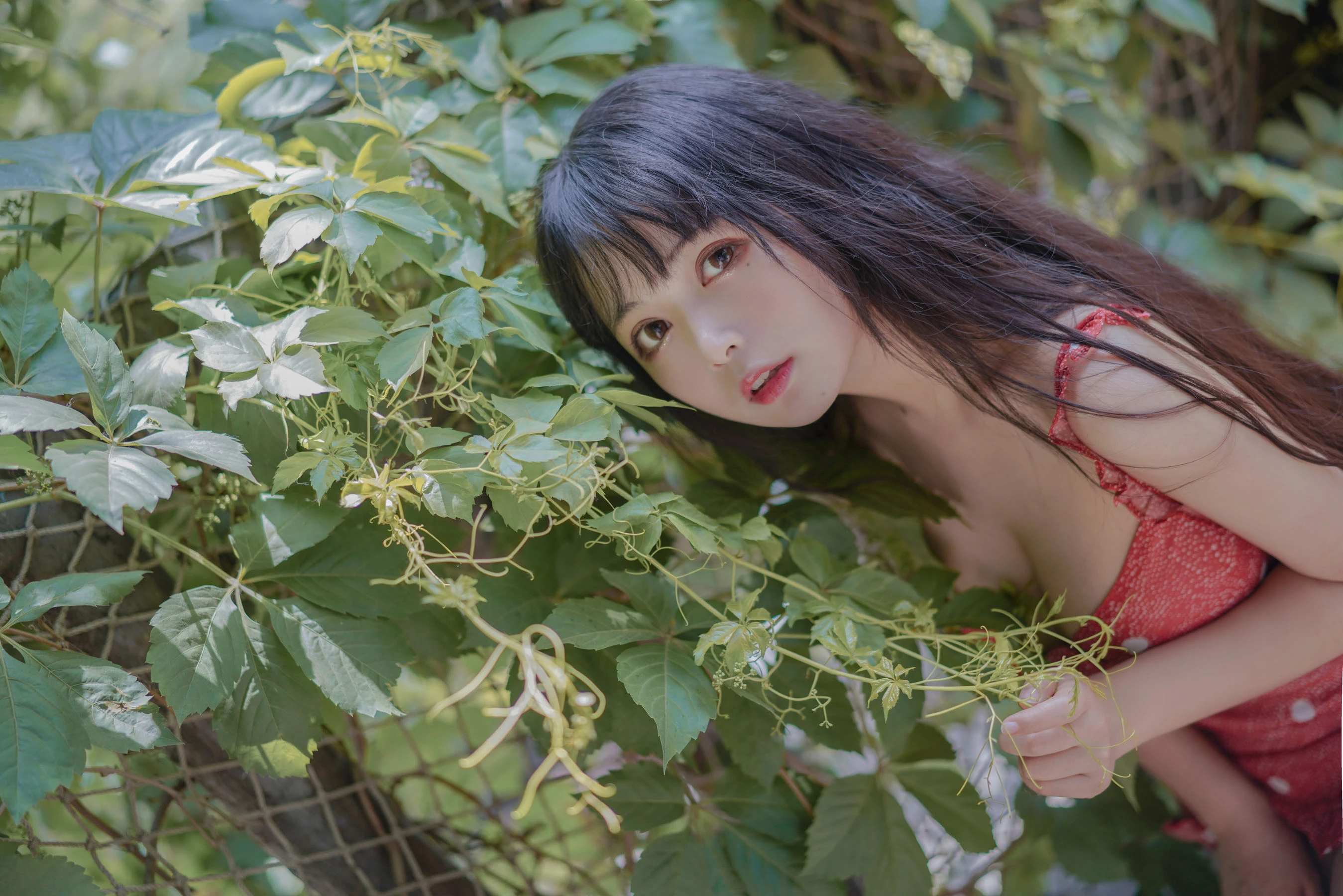 大眼萌妹黑猫猫OvO – 草莓 [32P]插图4