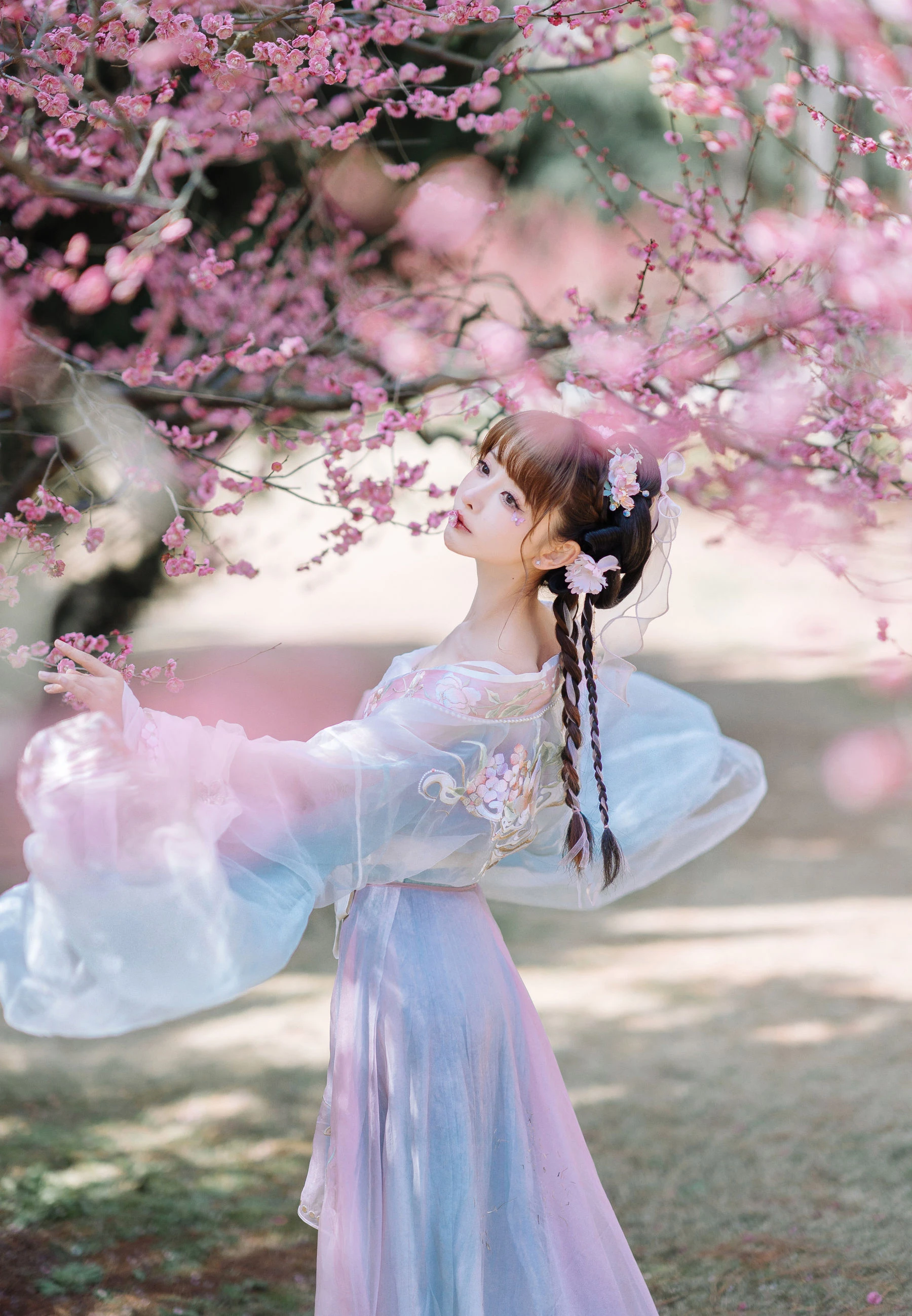 紫氯氯 – 二月梅花 [17P]插图1