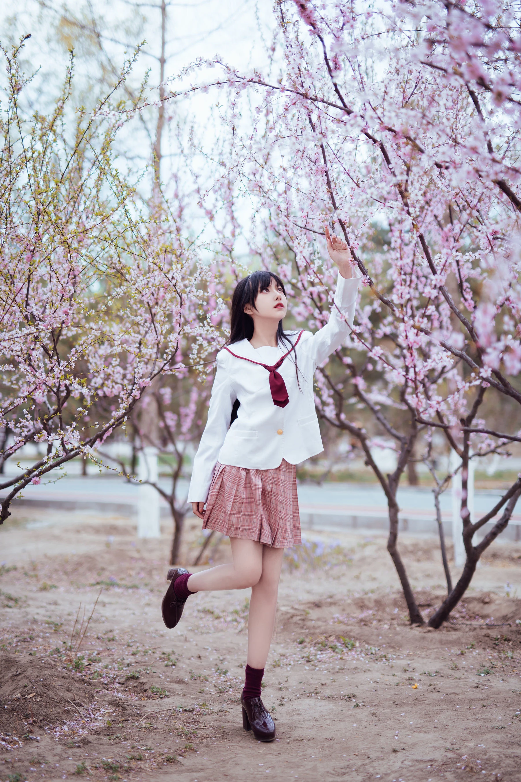 Shika小鹿鹿 – 樱花插图3