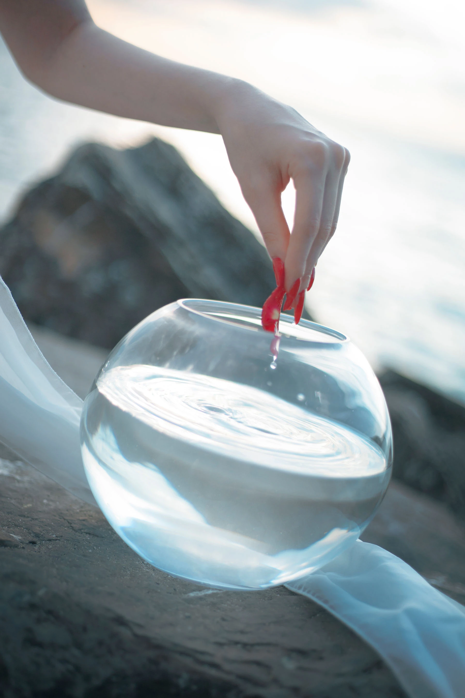 国外美女SayaTheFox – 海滩随拍插图6