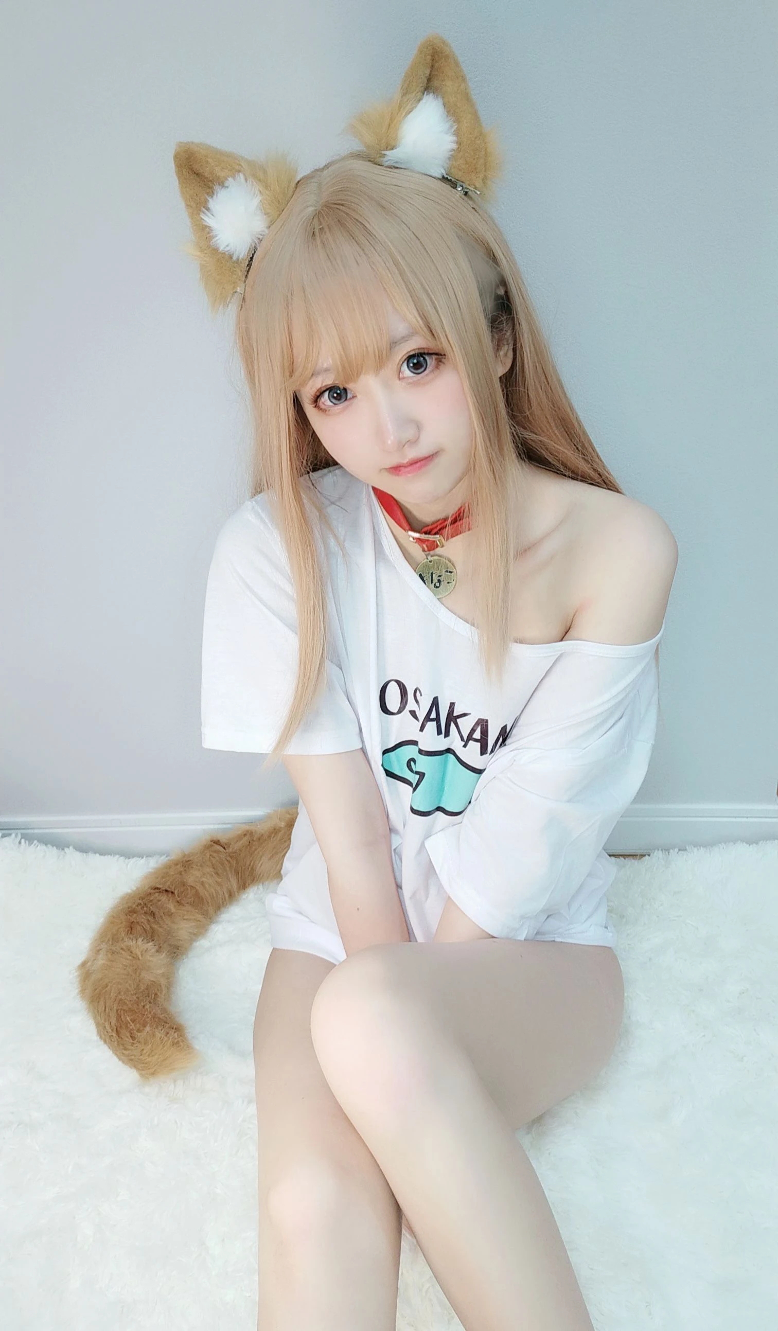 千阳(ちよ) – 40原设猫猫插图1