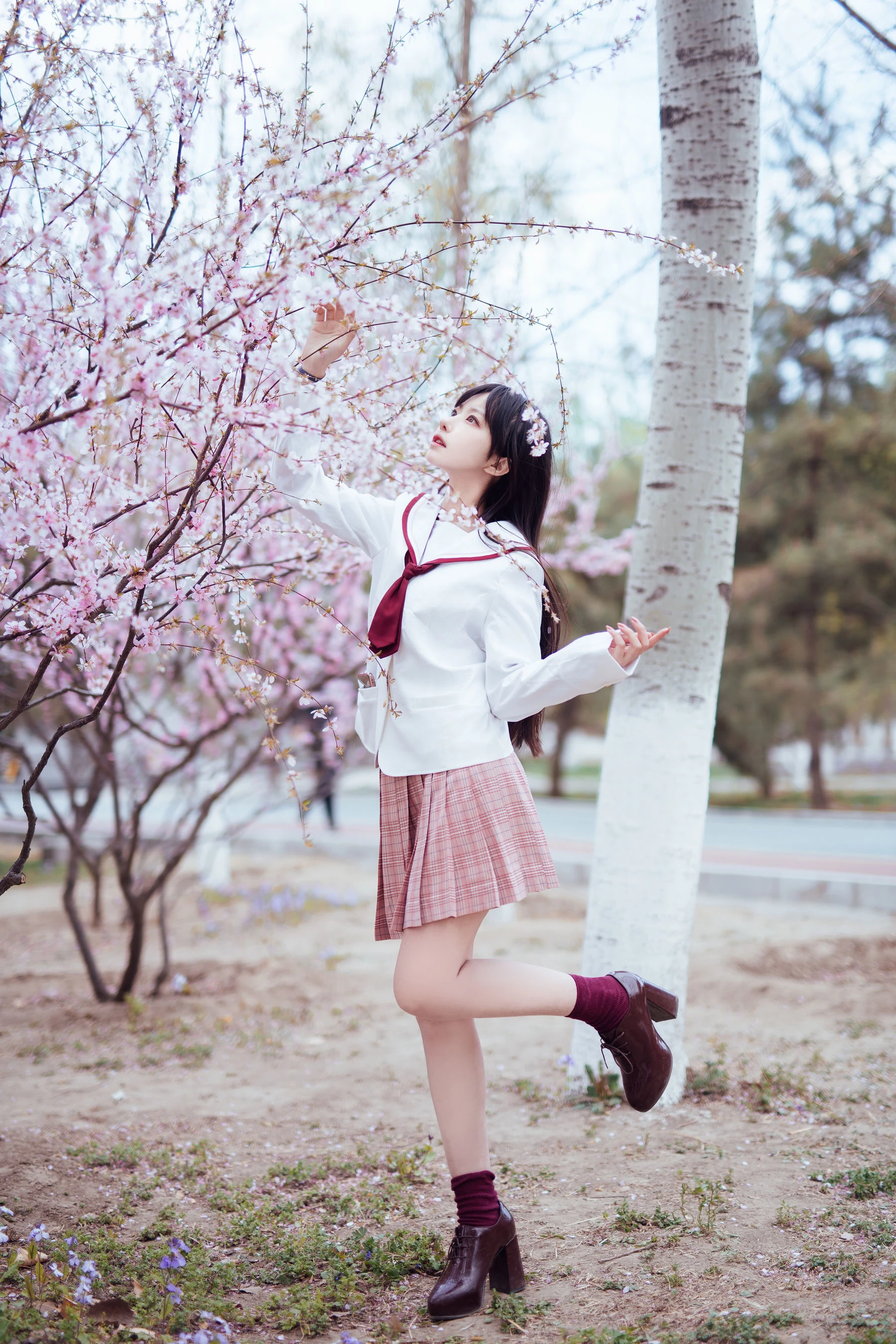 Shika小鹿鹿 – 樱花插图1