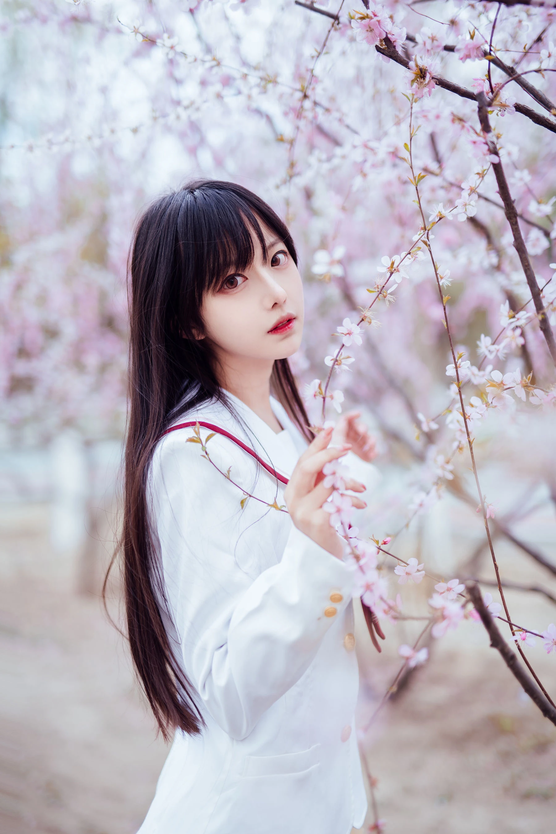 Shika小鹿鹿 – 樱花插图5