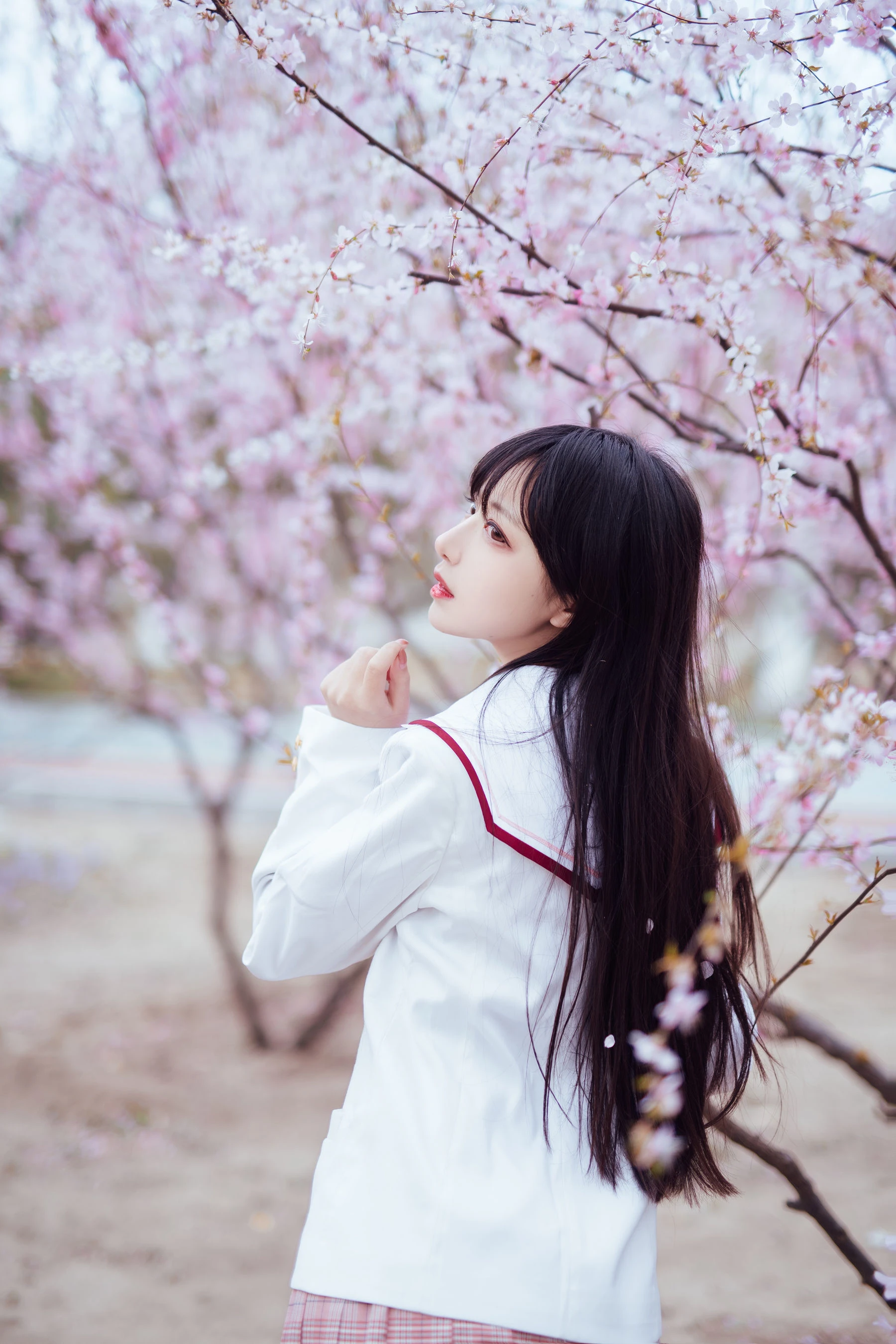 Shika小鹿鹿 – 樱花插图2