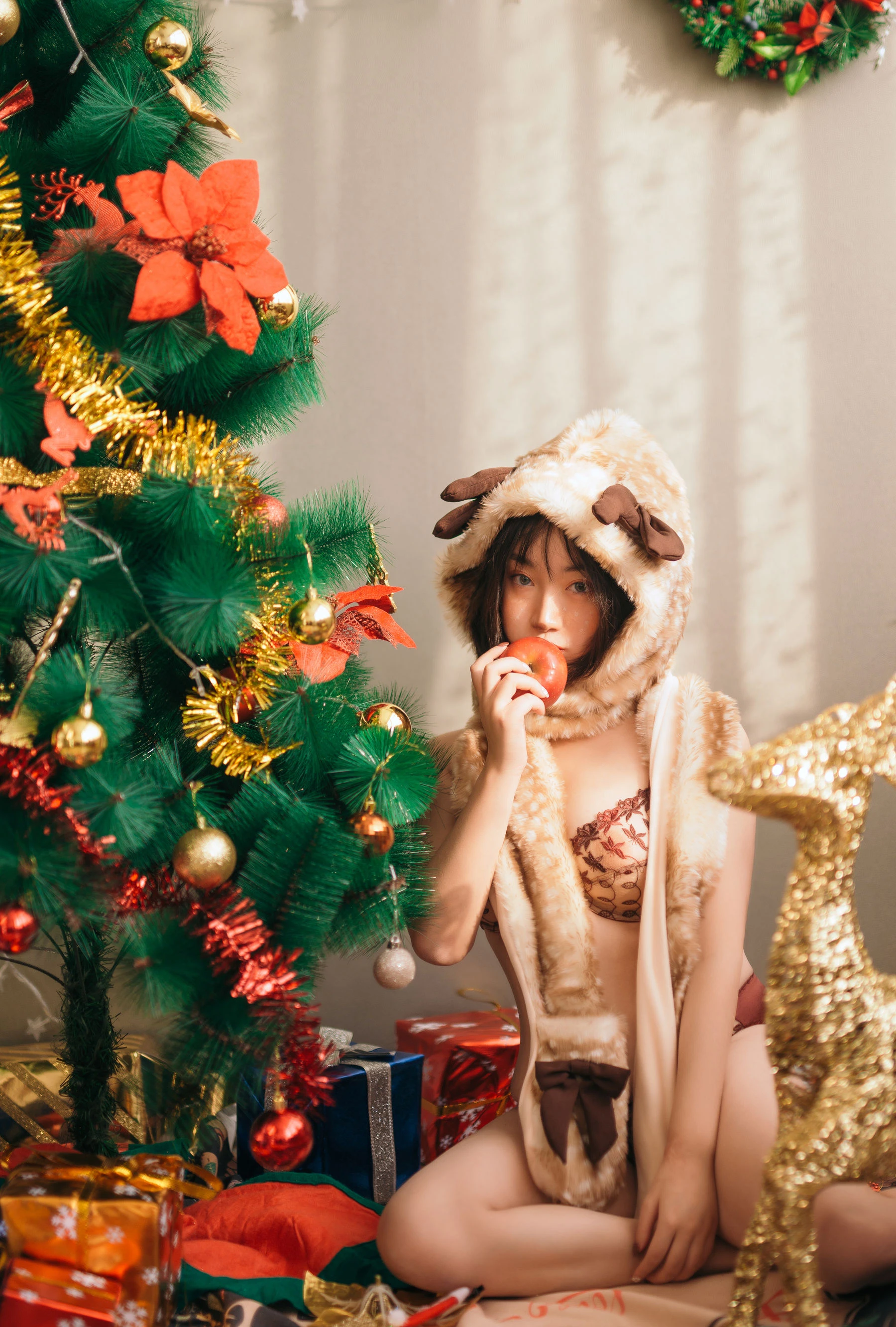 模特野百合 – 圣诞插图5
