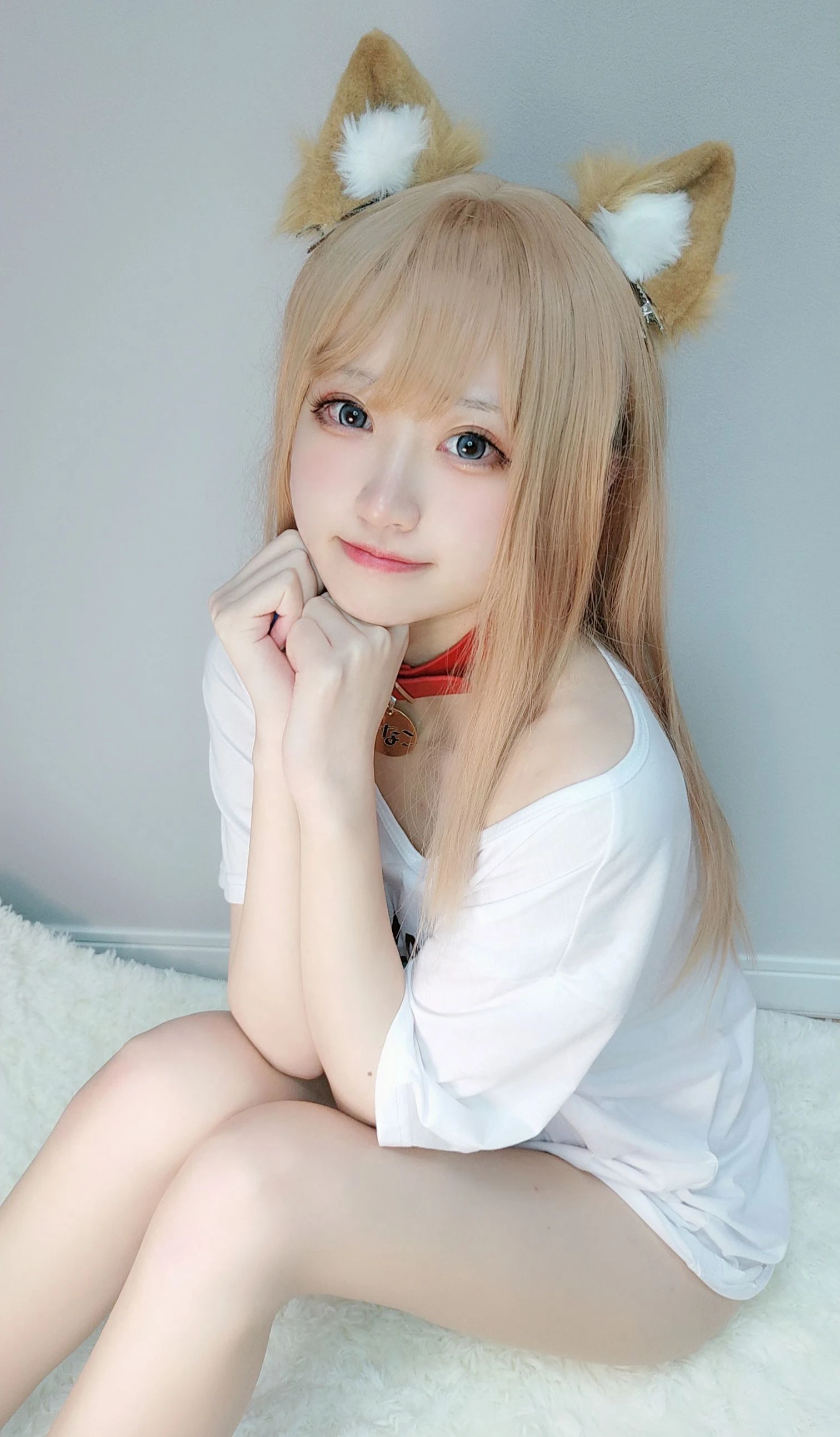 千阳(ちよ) – 40原设猫猫插图4