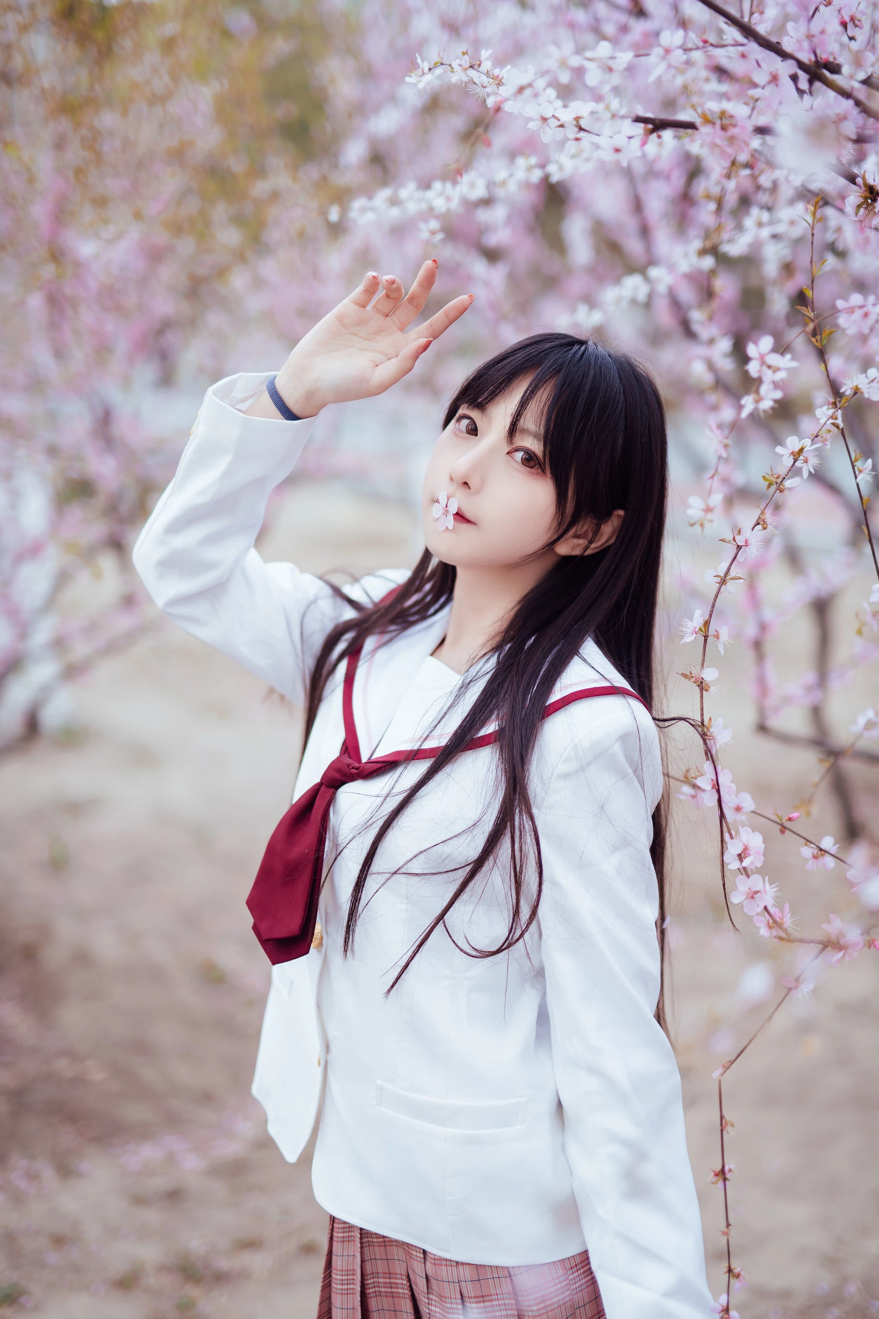 Shika小鹿鹿 – 樱花插图6