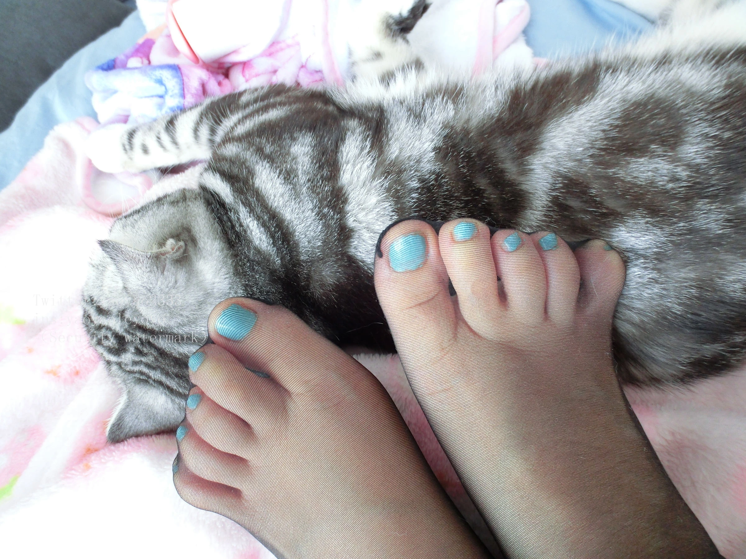 萌妹子Coser摇摇乐yoyo 黑丝美少女插图7