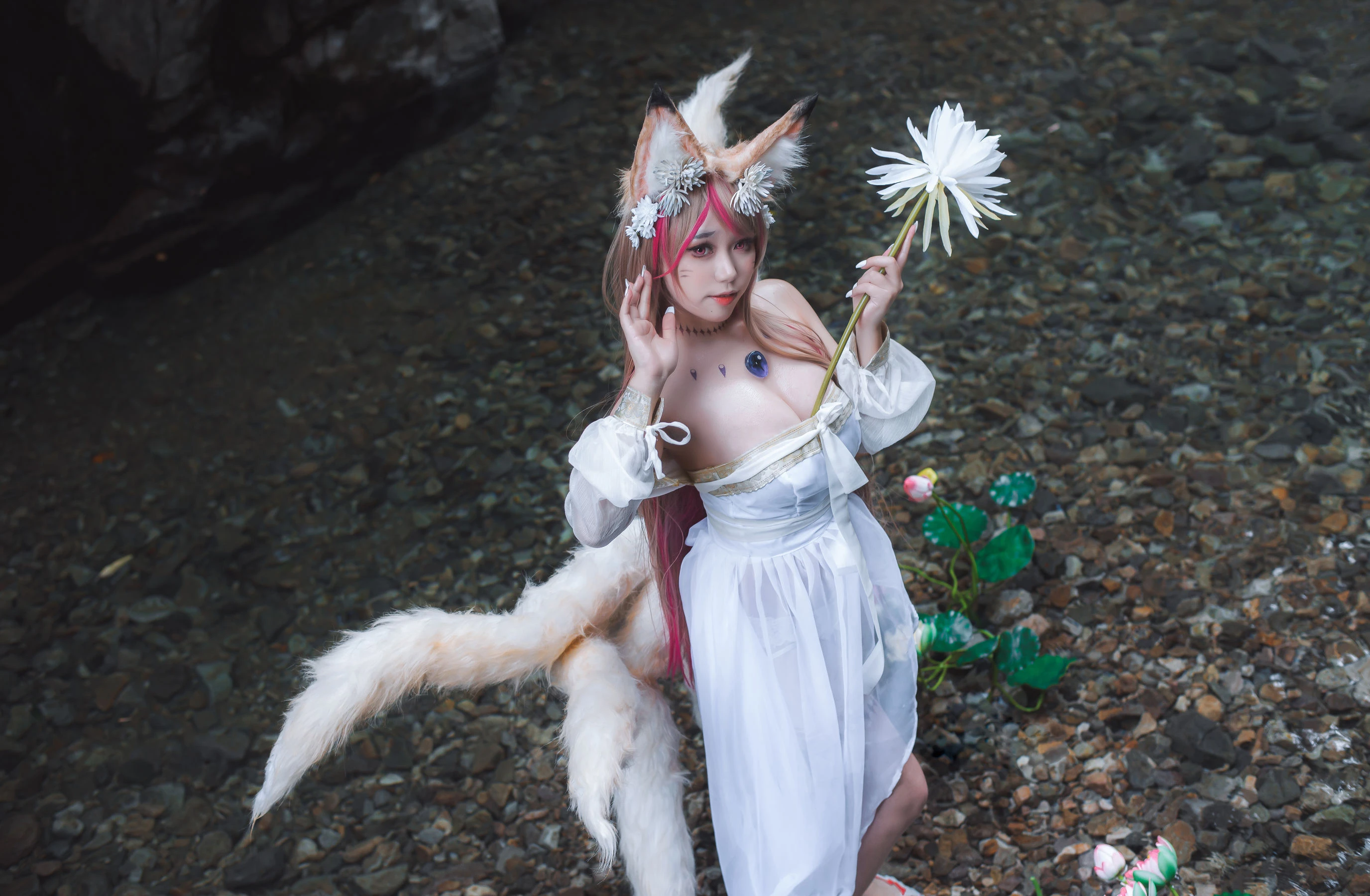 一北亦北 – 天命之子 玉藻前原皮插图4