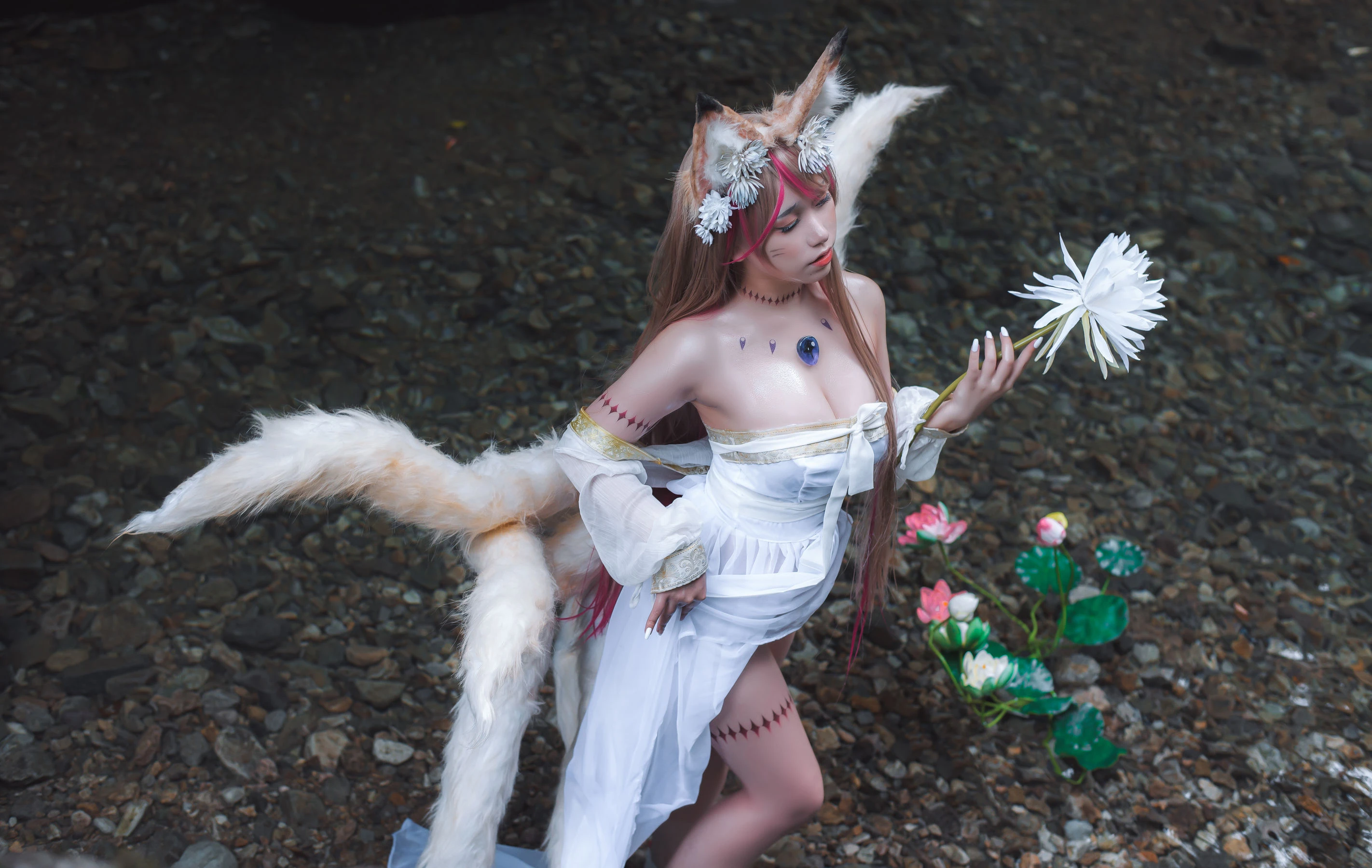 一北亦北 – 天命之子 玉藻前原皮插图5