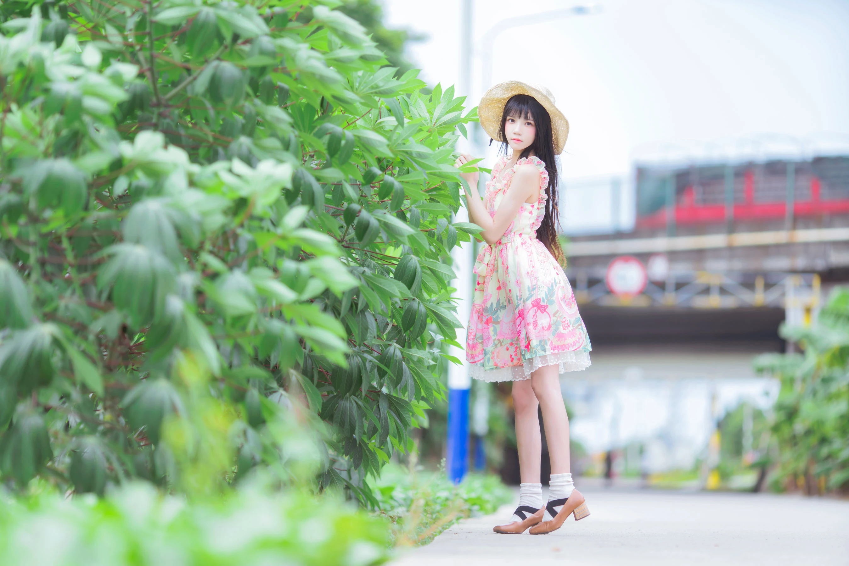 桜桃喵 – 清新之夏风插图2