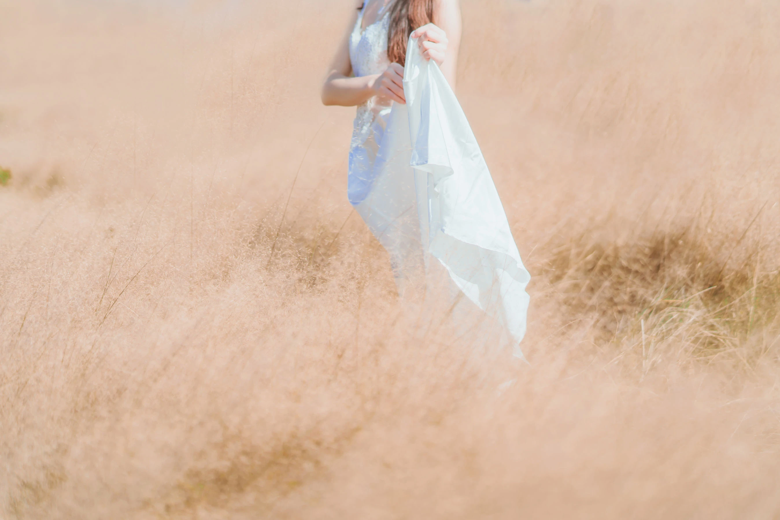 桜桃喵 原野上的浪漫插图1