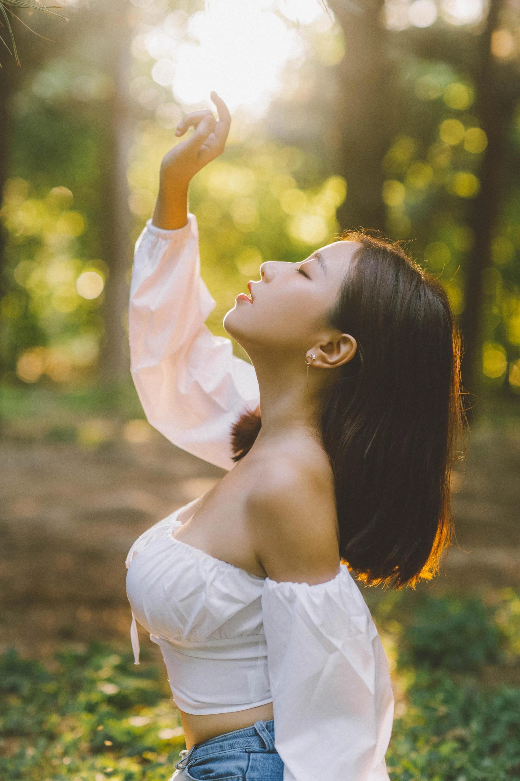 动漫博主穆零Mu0 – 森林插图5