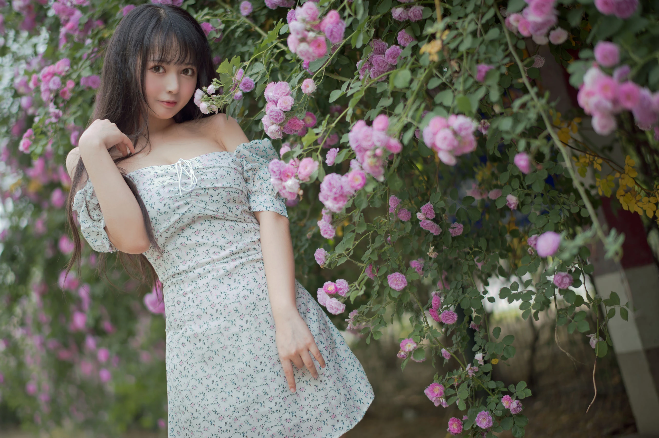 大眼萌妹黑猫猫OvO – 蔷薇2插图4