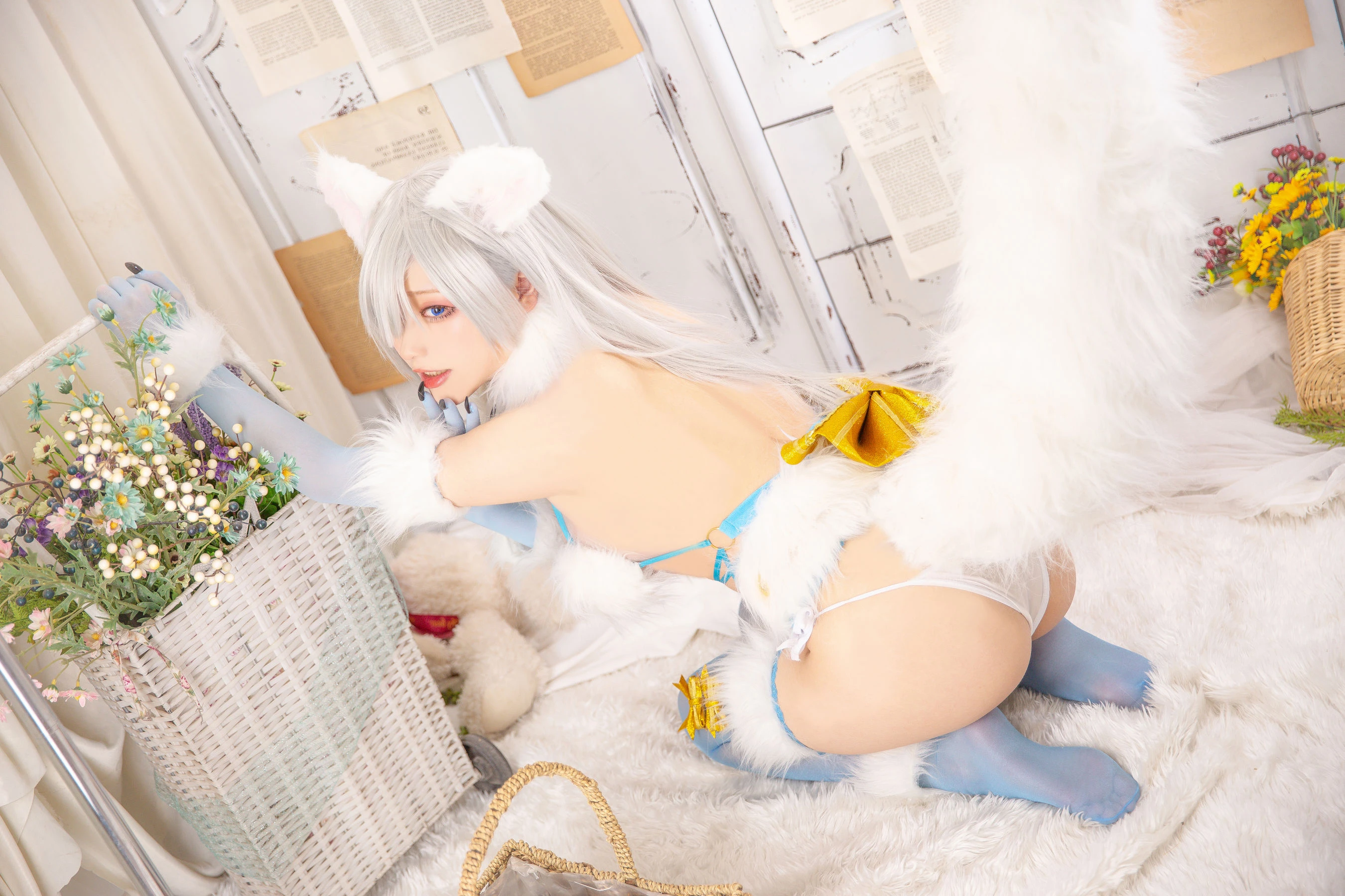 起司块wii – 皇女危险野兽插图2