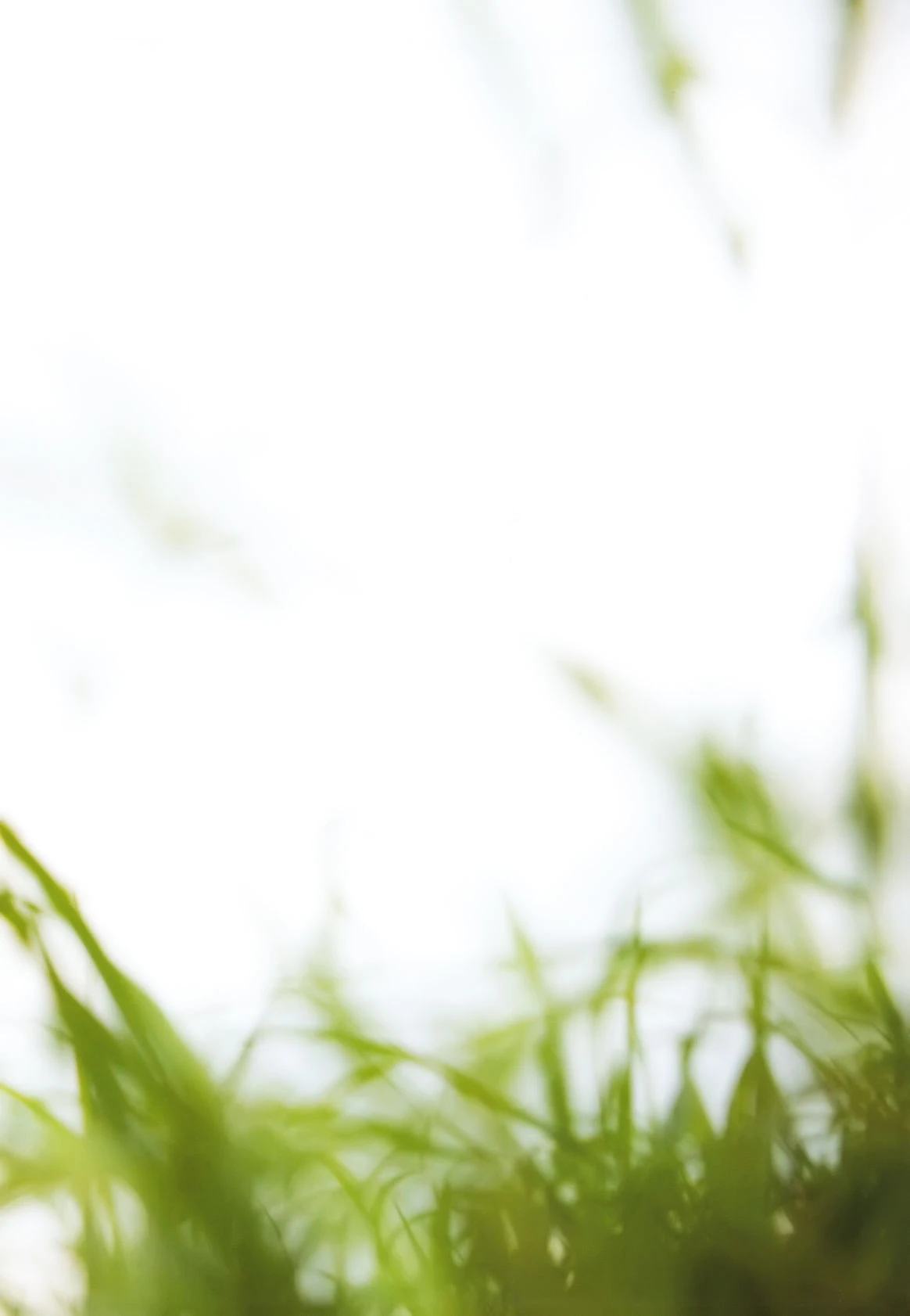 道重さゆみ +-+9th写真集「美ルフィーユ」插图1