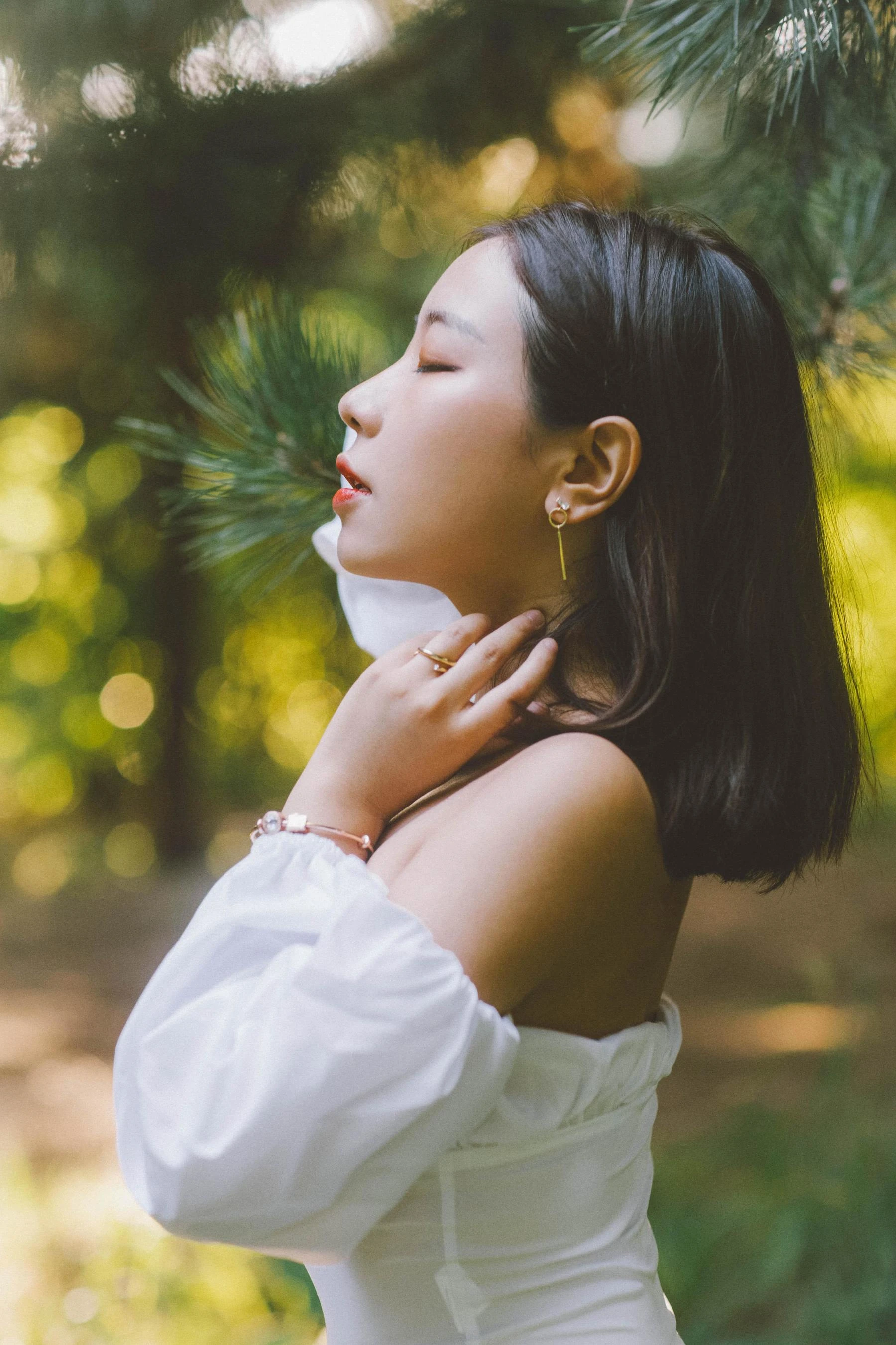 动漫博主穆零Mu0 – 森林插图2